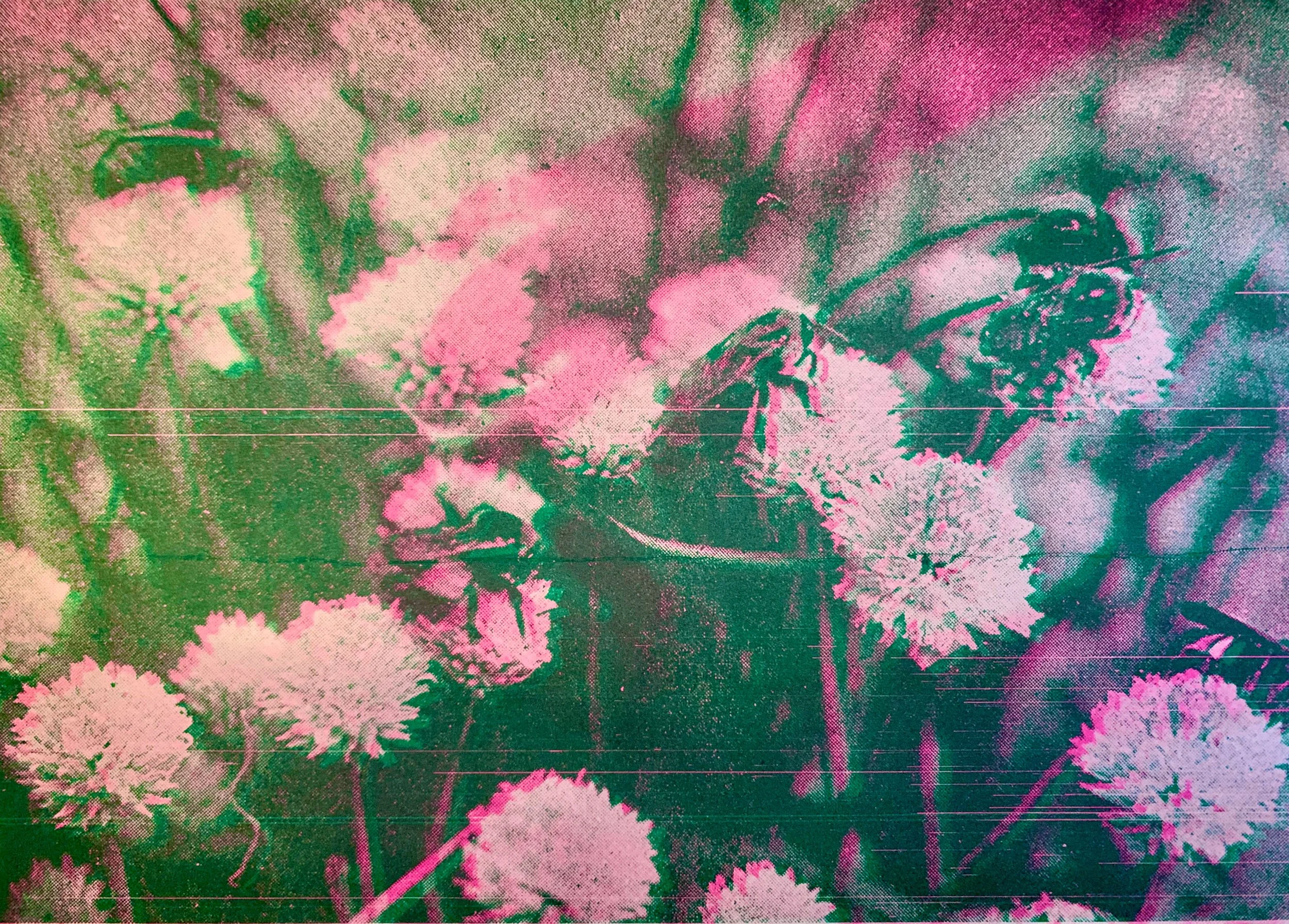 apophenia-press_apophenia-book_by_julie-wolfe_scroll-9.jpg