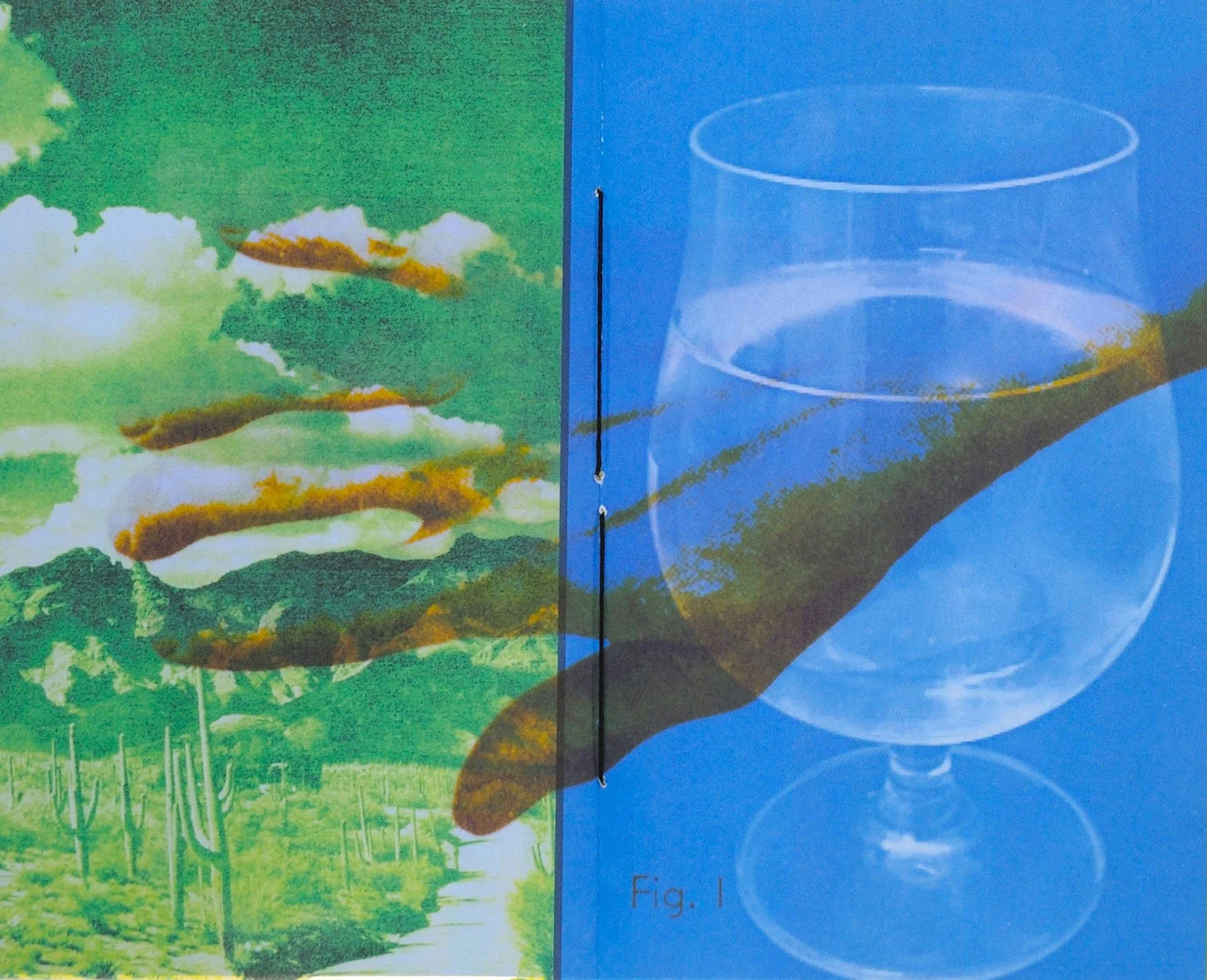 apophenia-press_landview-effect_book_scroll-1.jpg