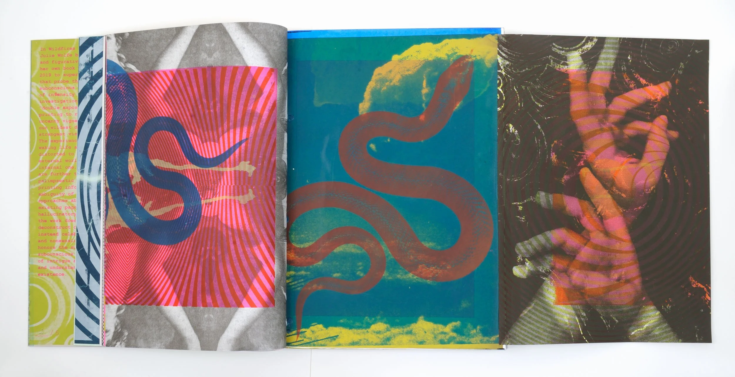 apophenia-press_wildfires-and-dreamfields_book_scroll-3.jpg
