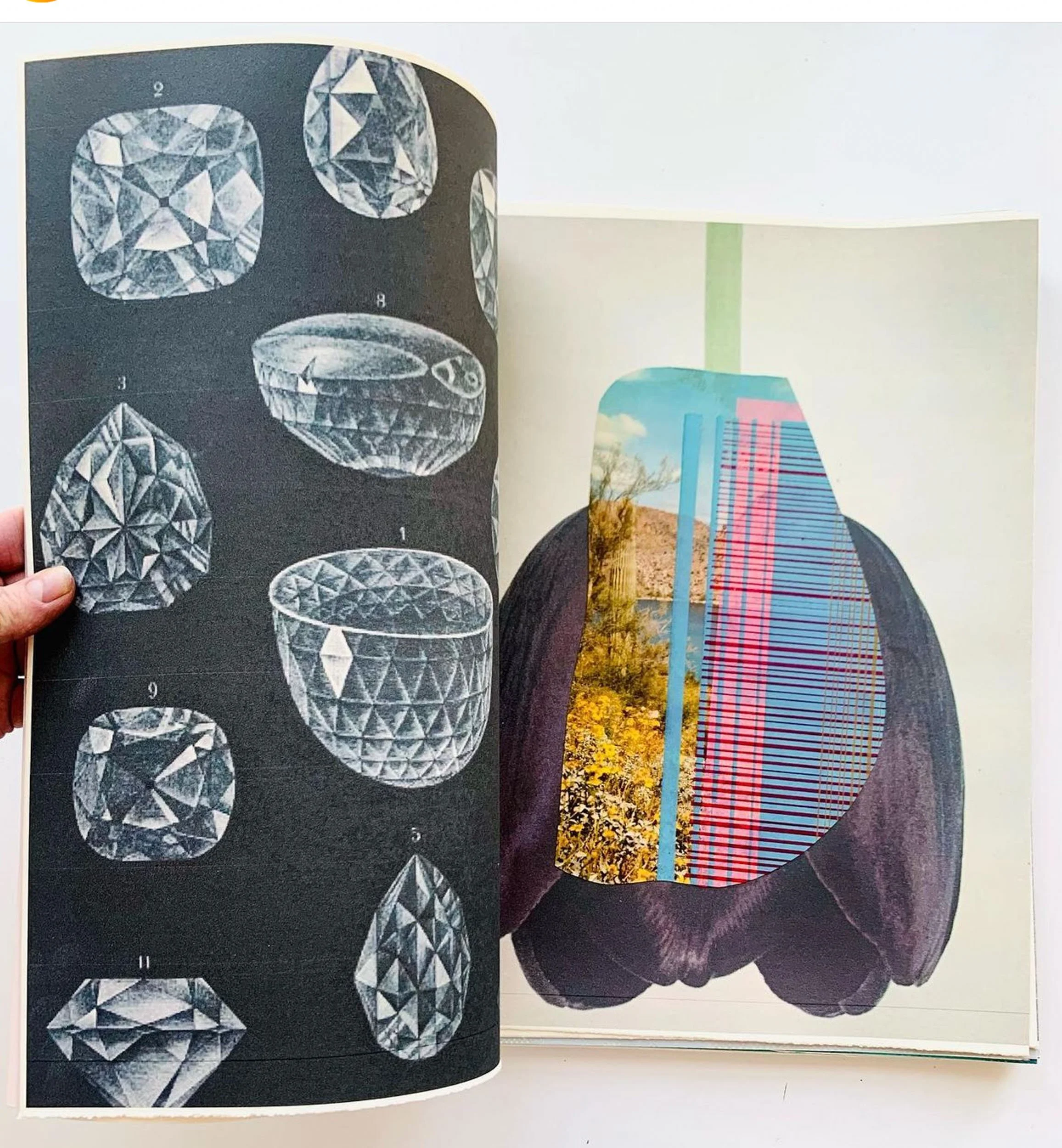 apophenia-press_wonderland-the-optical-unconscious_book_scroll-1.jpg