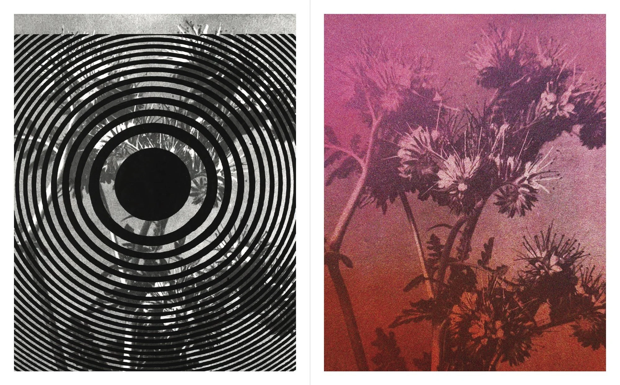 julie-wolfe_aphophenia-vol-02_exquisite-corpse_EXC_23.jpg
