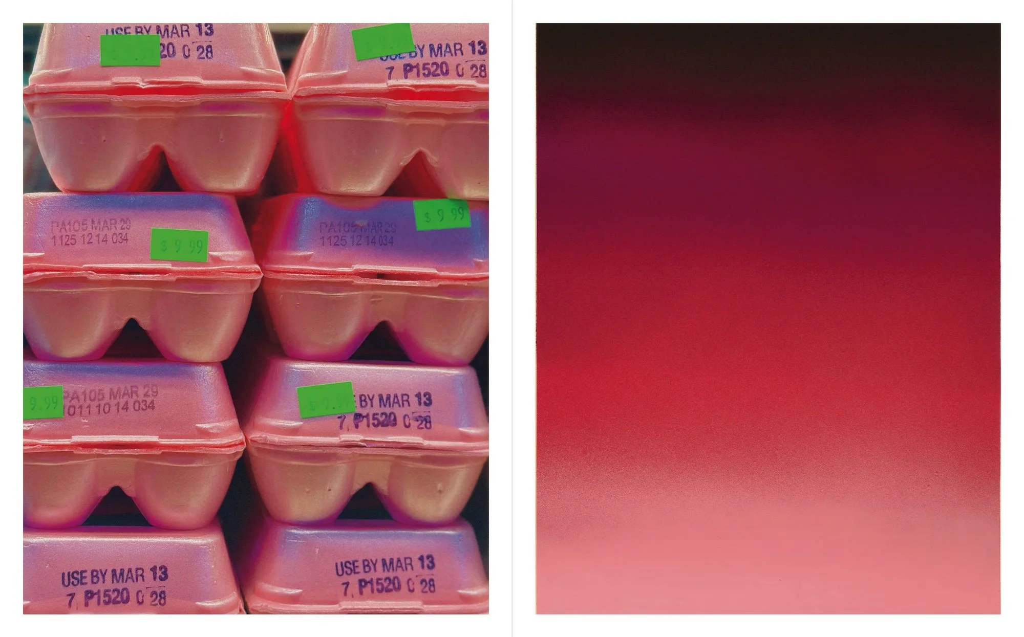 Stacks of styrofoam egg cartons