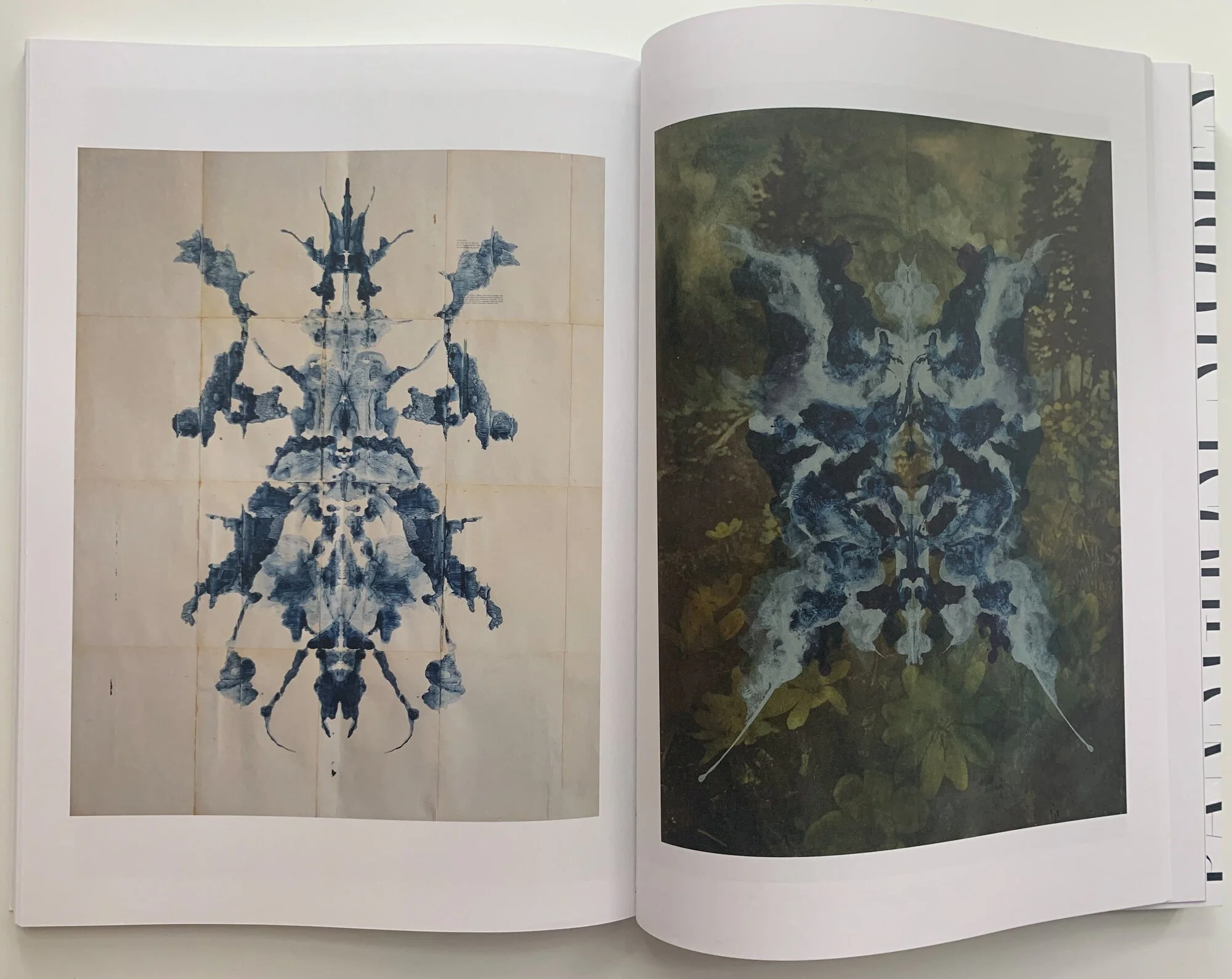 julie-wolfe-design_press_pan-and-the-dream-issue-under-their-gaze-book-pages-2.jpg