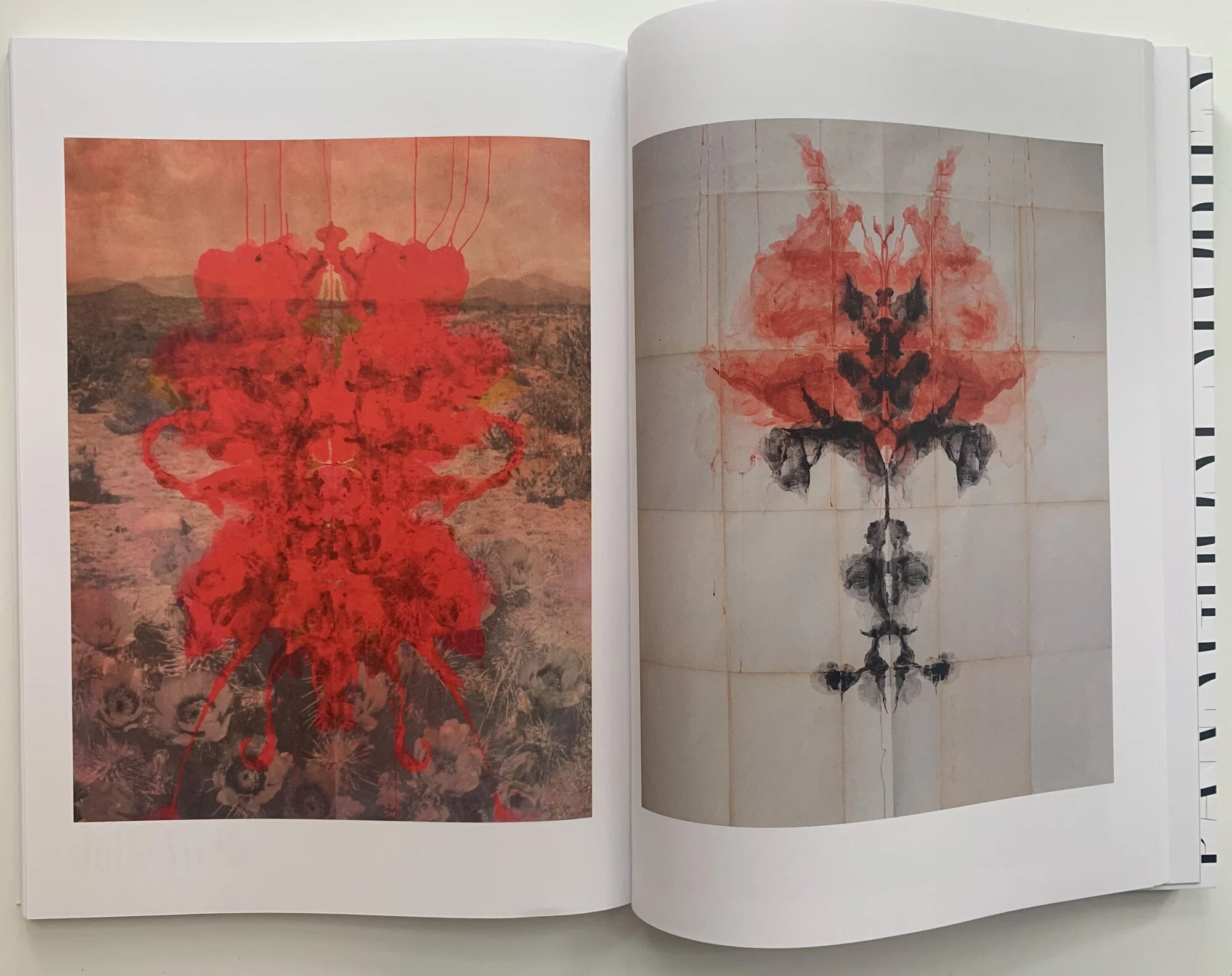 julie-wolfe-design_press_pan-and-the-dream-issue-under-their-gaze-book-pages-3.jpg