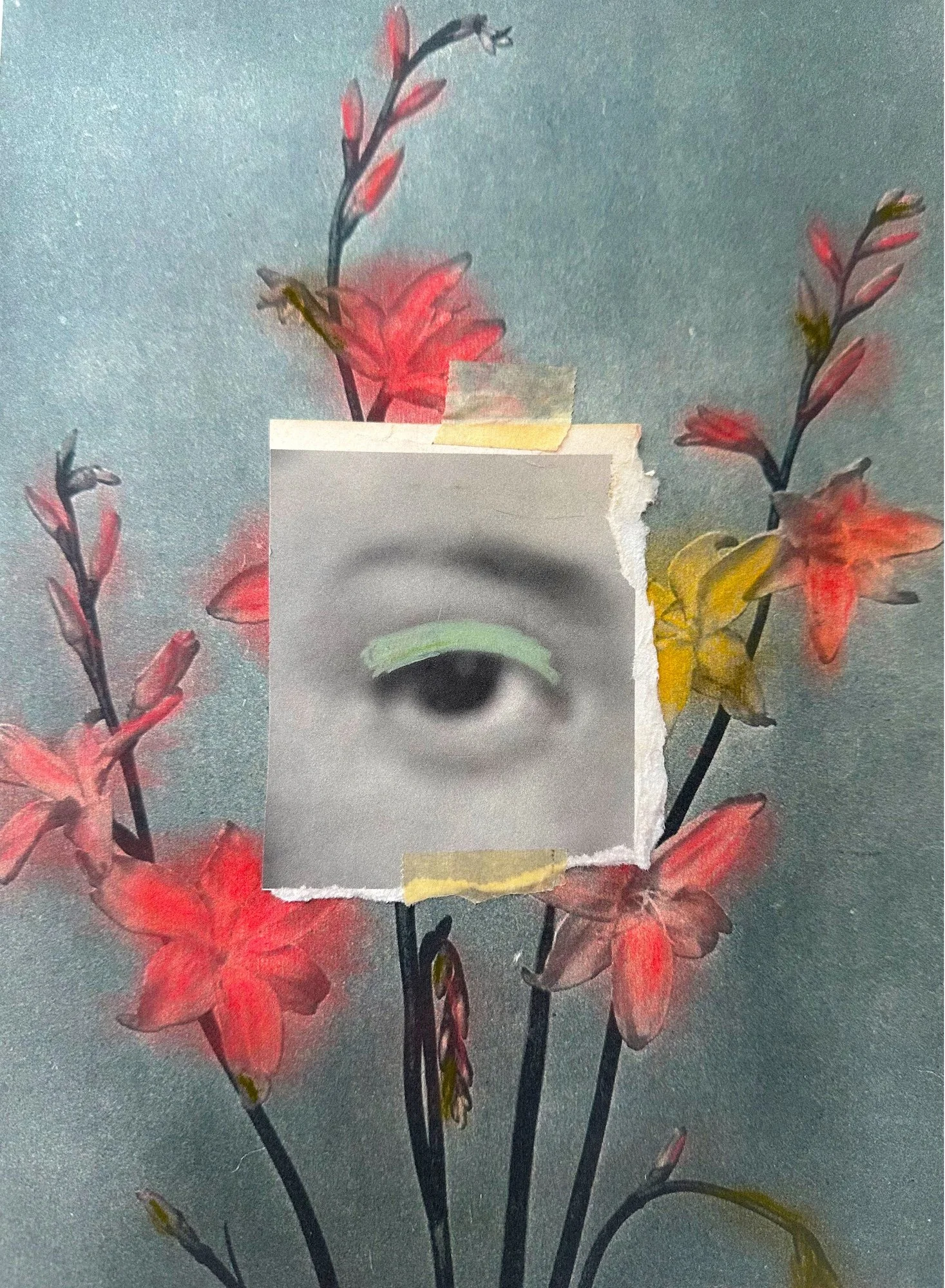 julie-wolfe_apophenia-press_assemblages_PL5.jpg