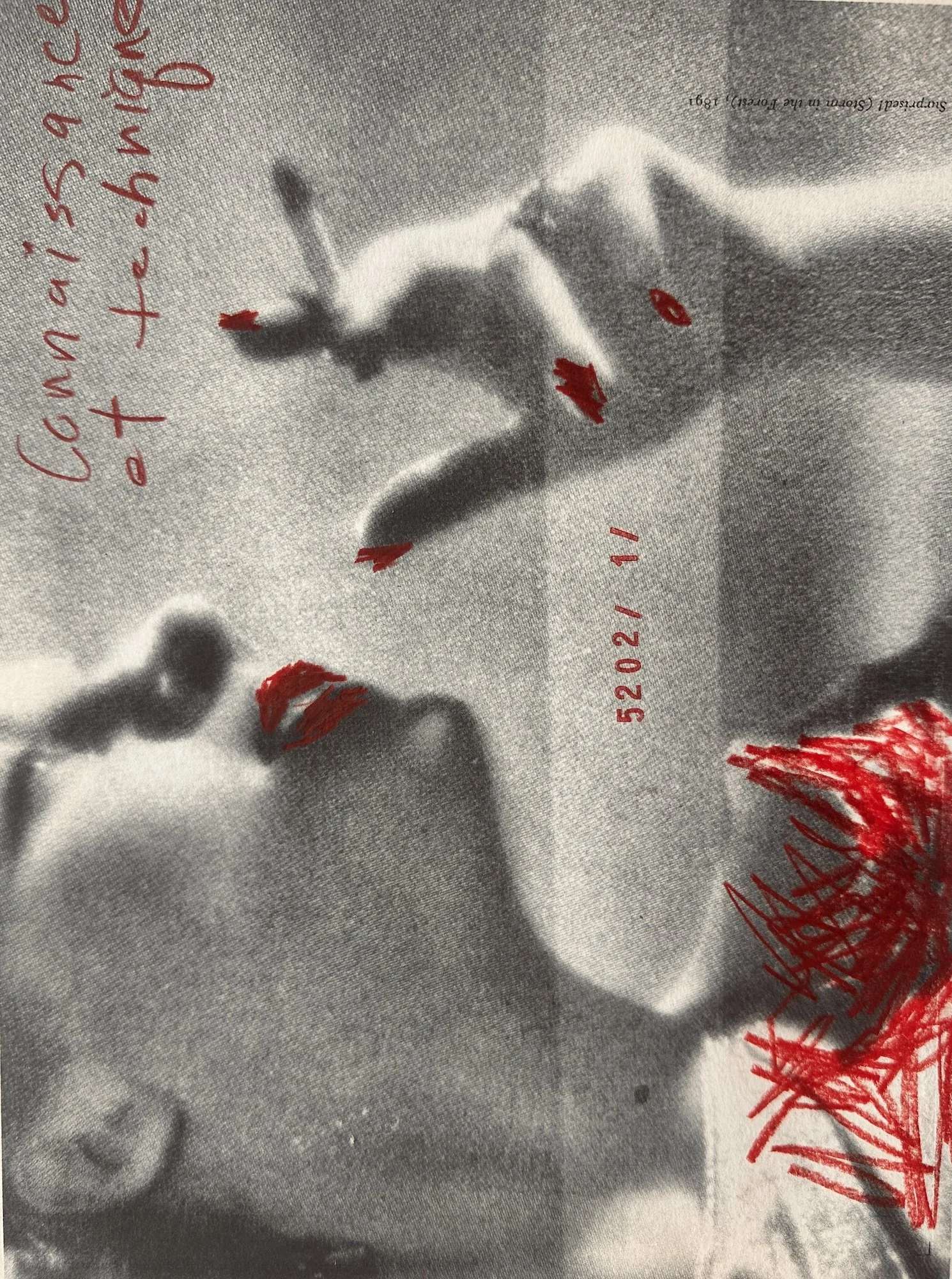 julie-wolfe_apophenia-press_art-on-paper_DS5.JPG