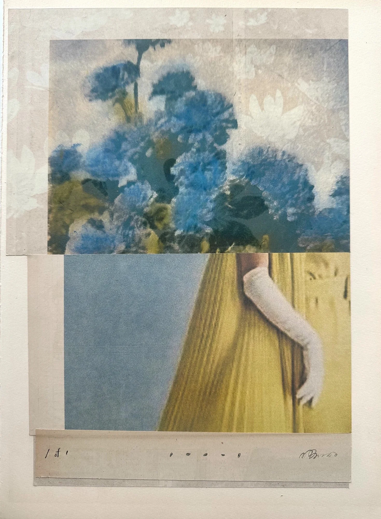 julie-wolfe_apophenia-press_assemblages_DR11.jpeg
