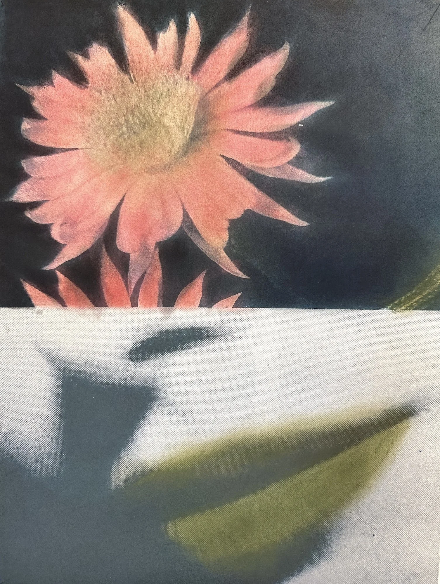 julie-wolfe_apophenia-press_art-on-paper_DS4.jpeg