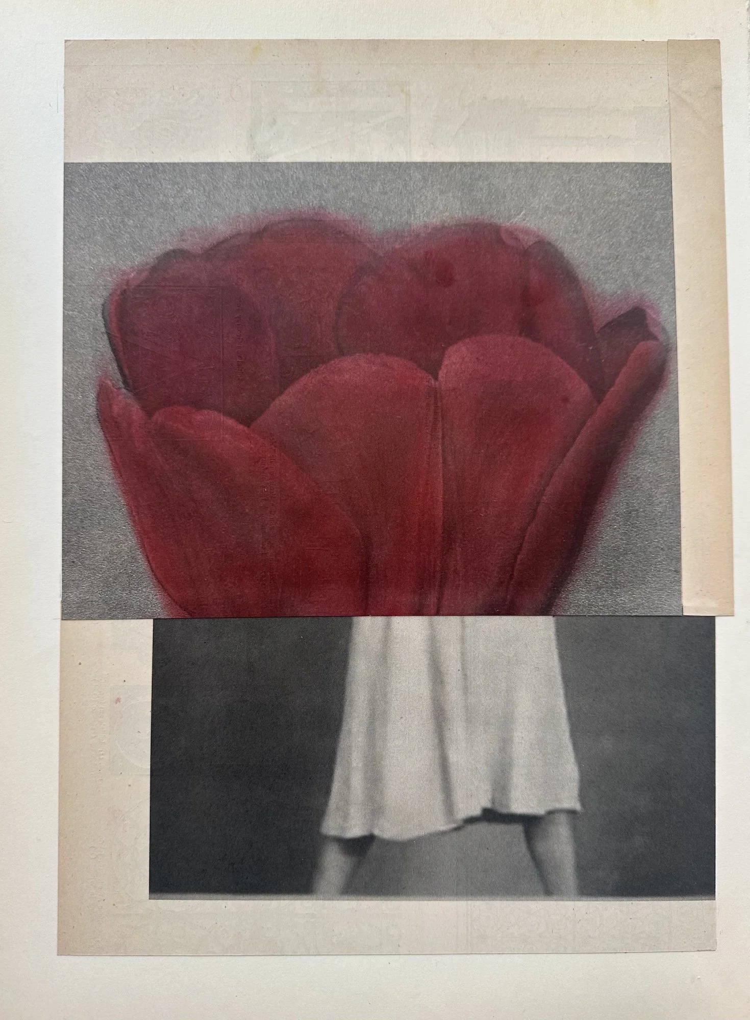 julie-wolfe_apophenia-press_assemblages_DR12.jpeg
