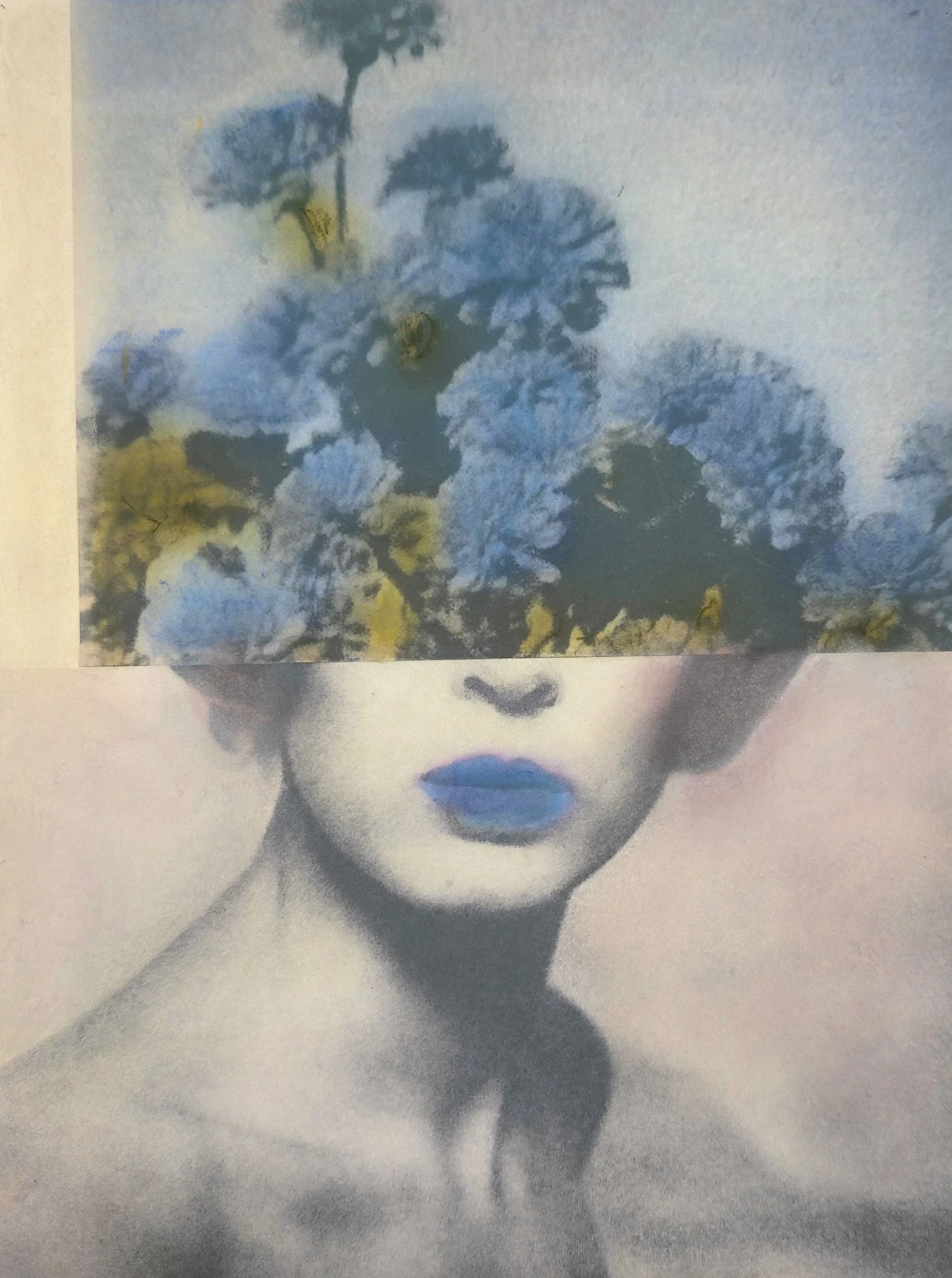 julie-wolfe_apophenia-press_assemblages_DR15.jpg