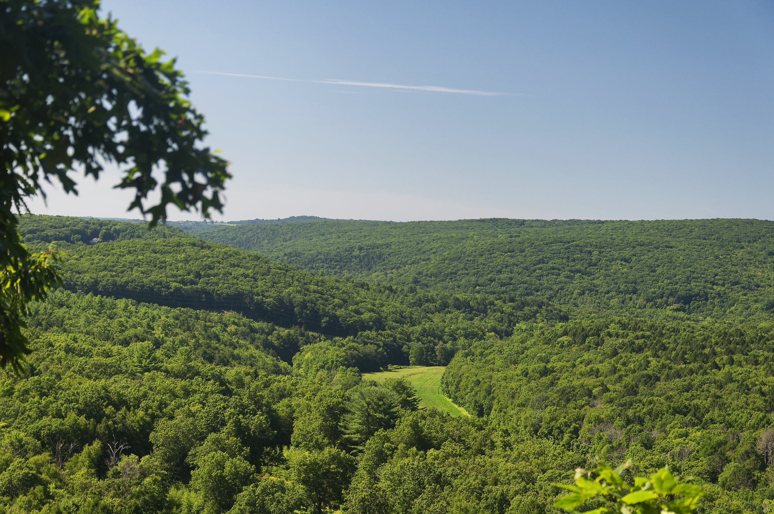 iStock-2155778103.jpg