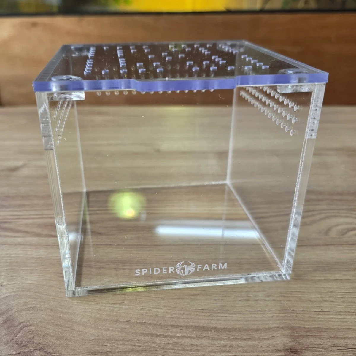 terrestrial-acrylic-juvenile-enclosure-12w-x-12d-x-10h-cm-3.jpg