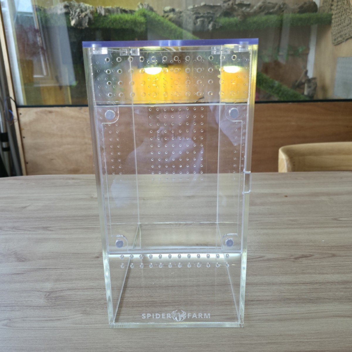 large-arboreal-acrylic-enclosure-15w-x-26d-x-30h-cm.jpg