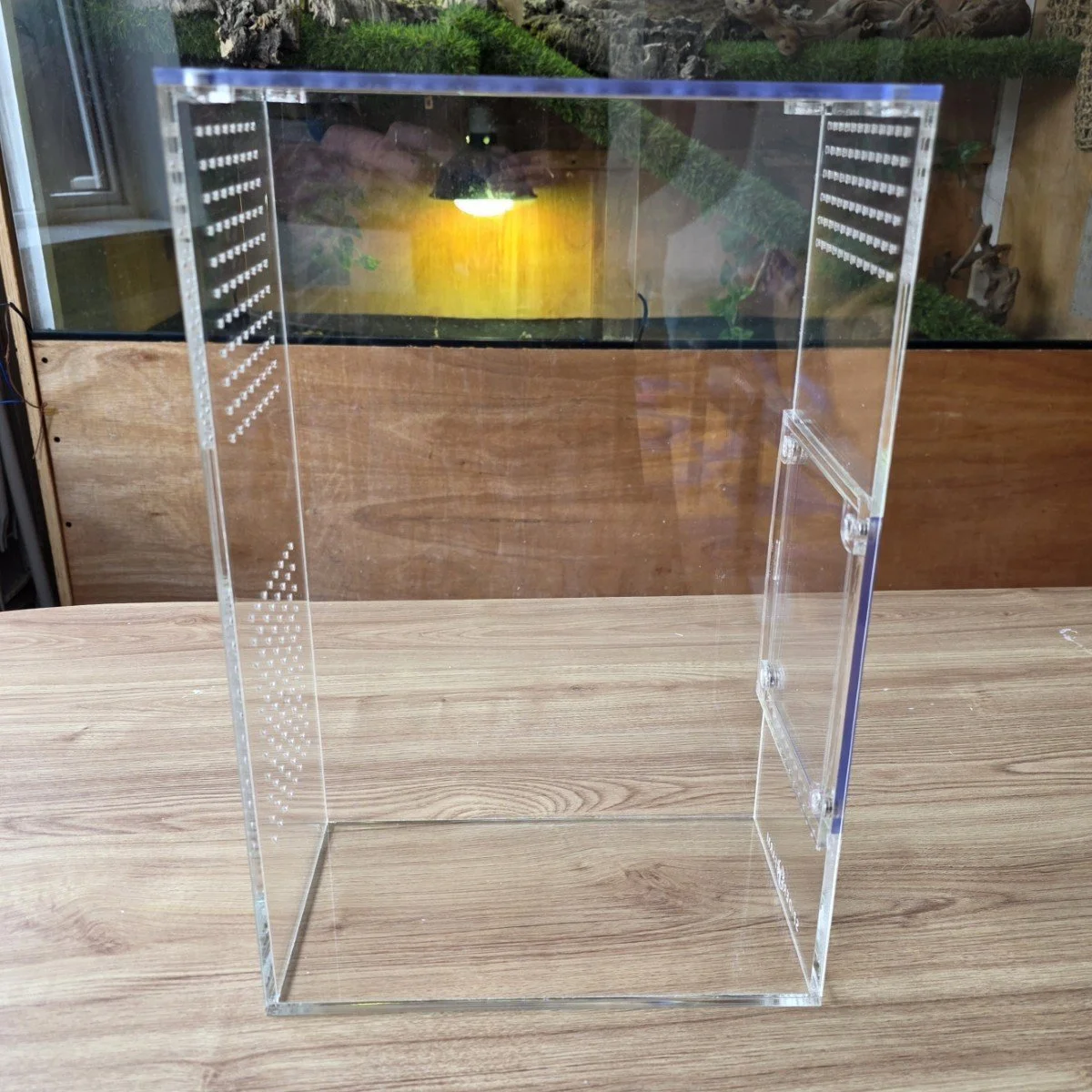 xl-arboreal-acrylic-enclosure-15w-x-26d-x-40h-cm-3.jpg