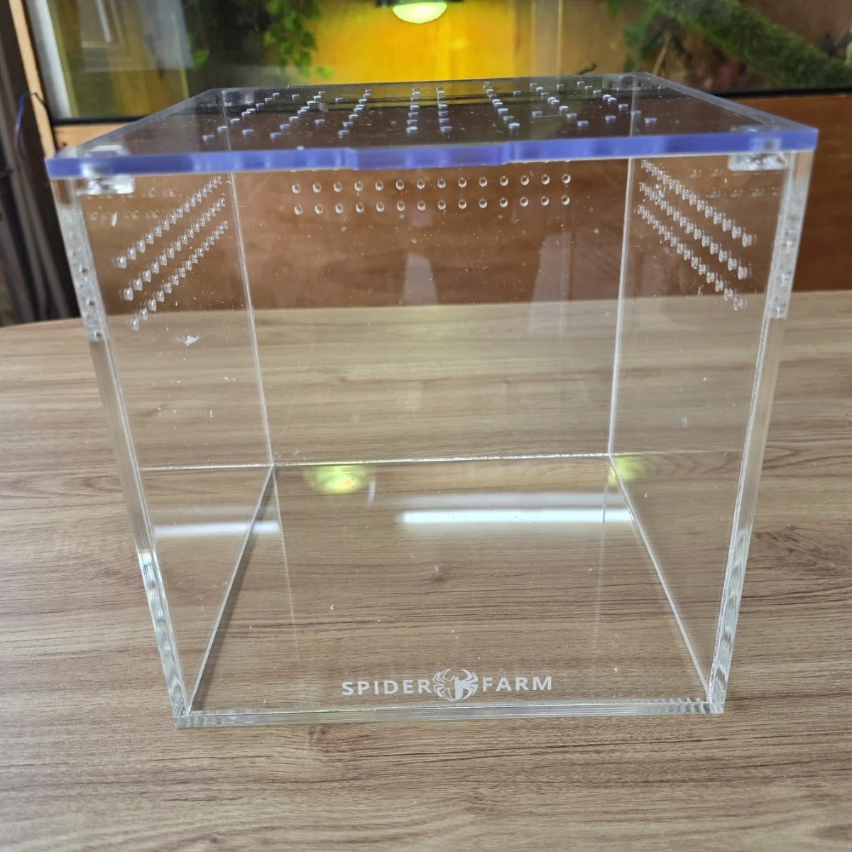 Medium Cube Acrylic Enclosure (20W x 20D x 20H cm)