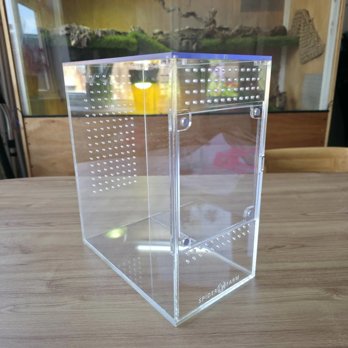 Large Arboreal Acrylic Enclosure (15W x 26D x 30H cm)