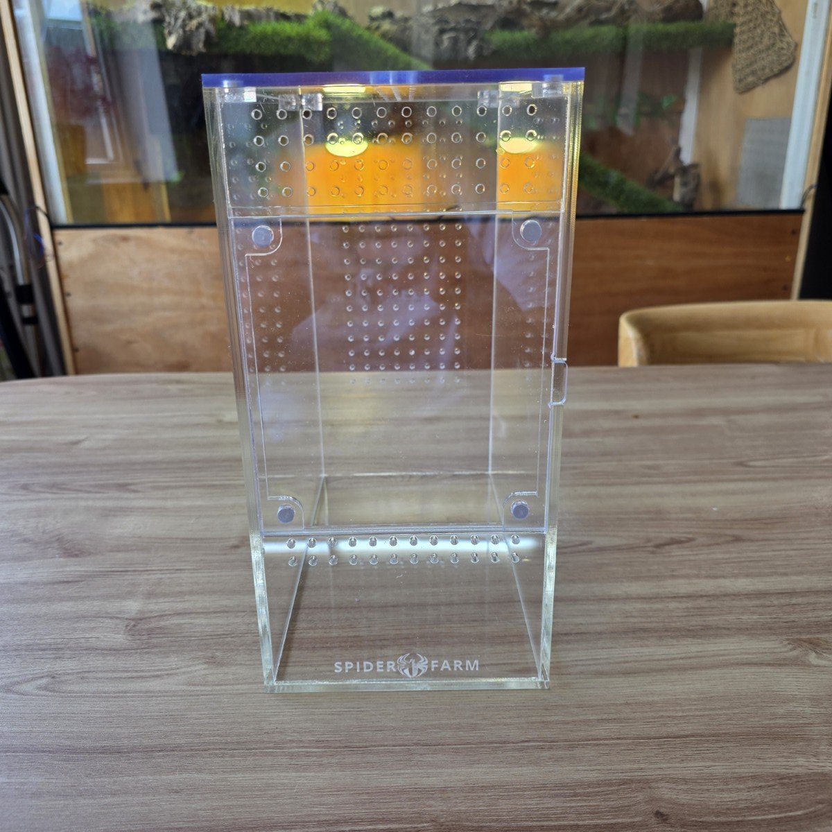 large-arboreal-acrylic-enclosure-15w-x-26d-x-30h-cm-9.jpg