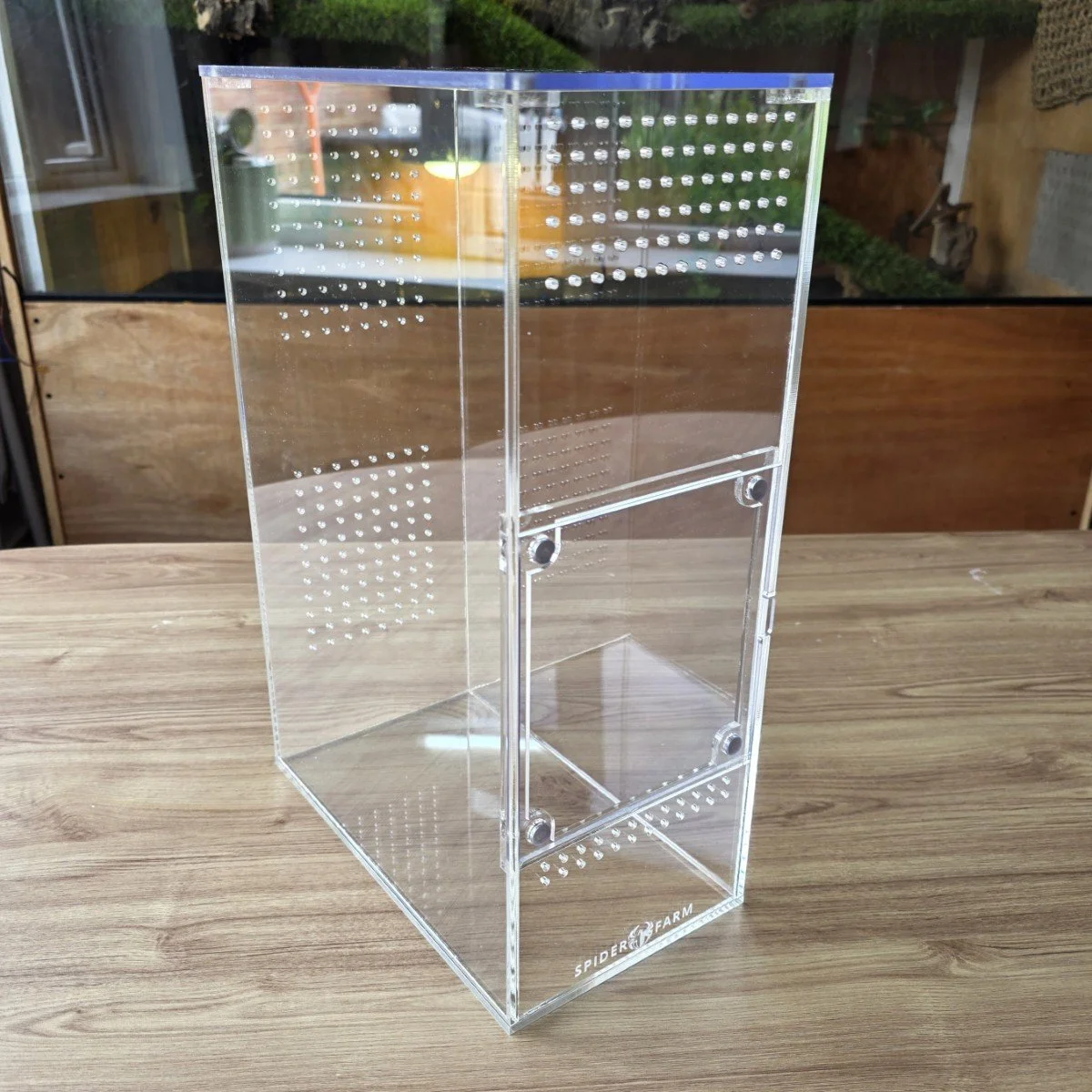 xl-arboreal-acrylic-enclosure-15w-x-26d-x-40h-cm-4.jpg
