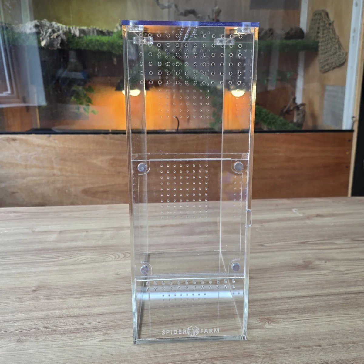 xl-arboreal-acrylic-enclosure-15w-x-26d-x-40h-cm-6.jpg