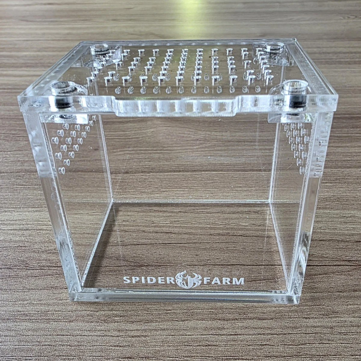 Terrestrial Acrylic Sling Enclosure (8W x 6D x 7H cm)