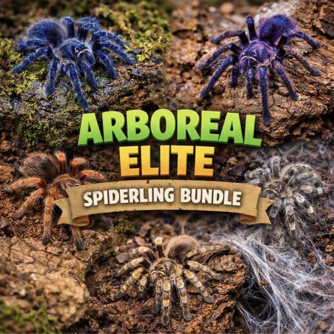 Arboreal Elite (Bundle)