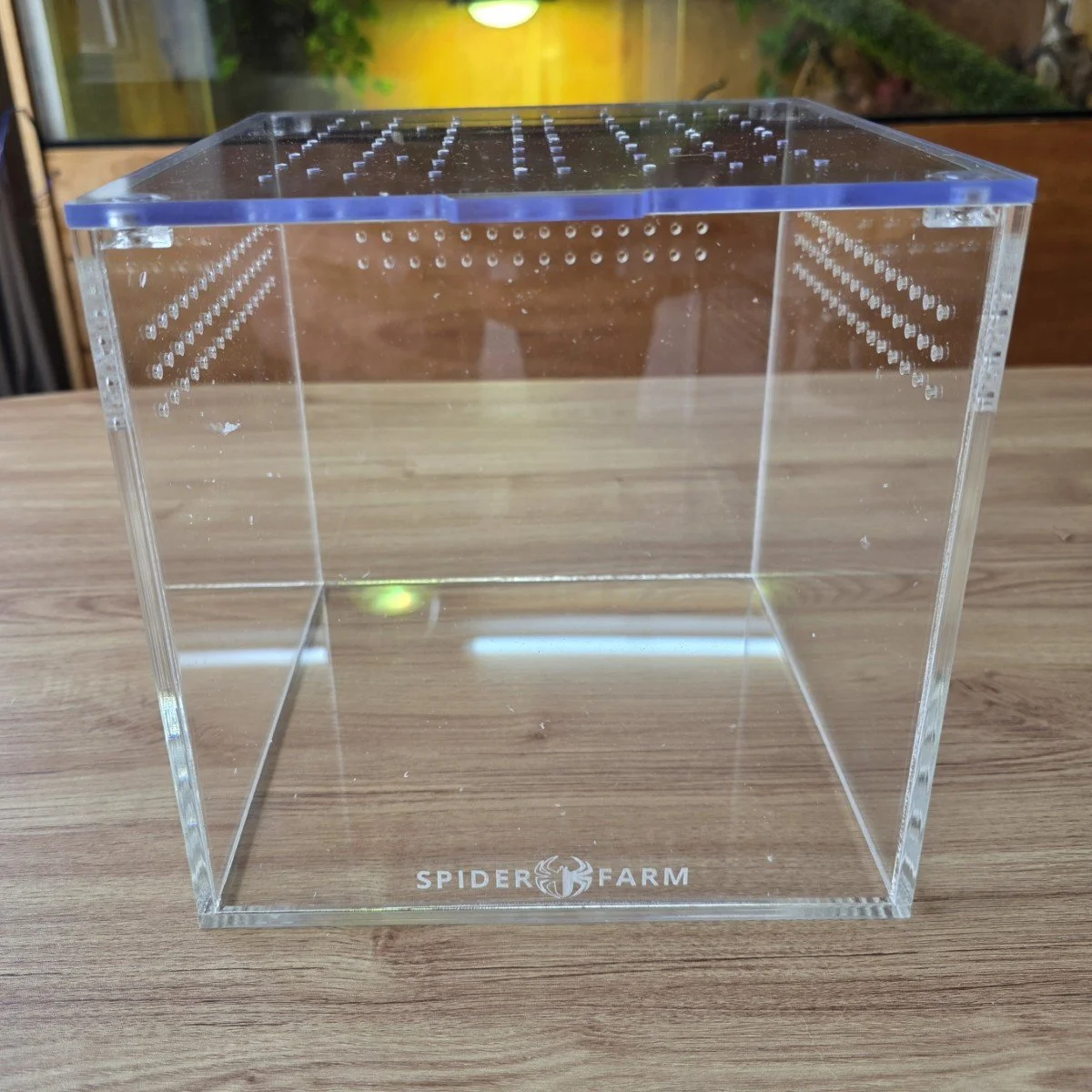 medium-cube-acrylic-enclosure-20w-x-20d-x-20h-cm-2.jpg