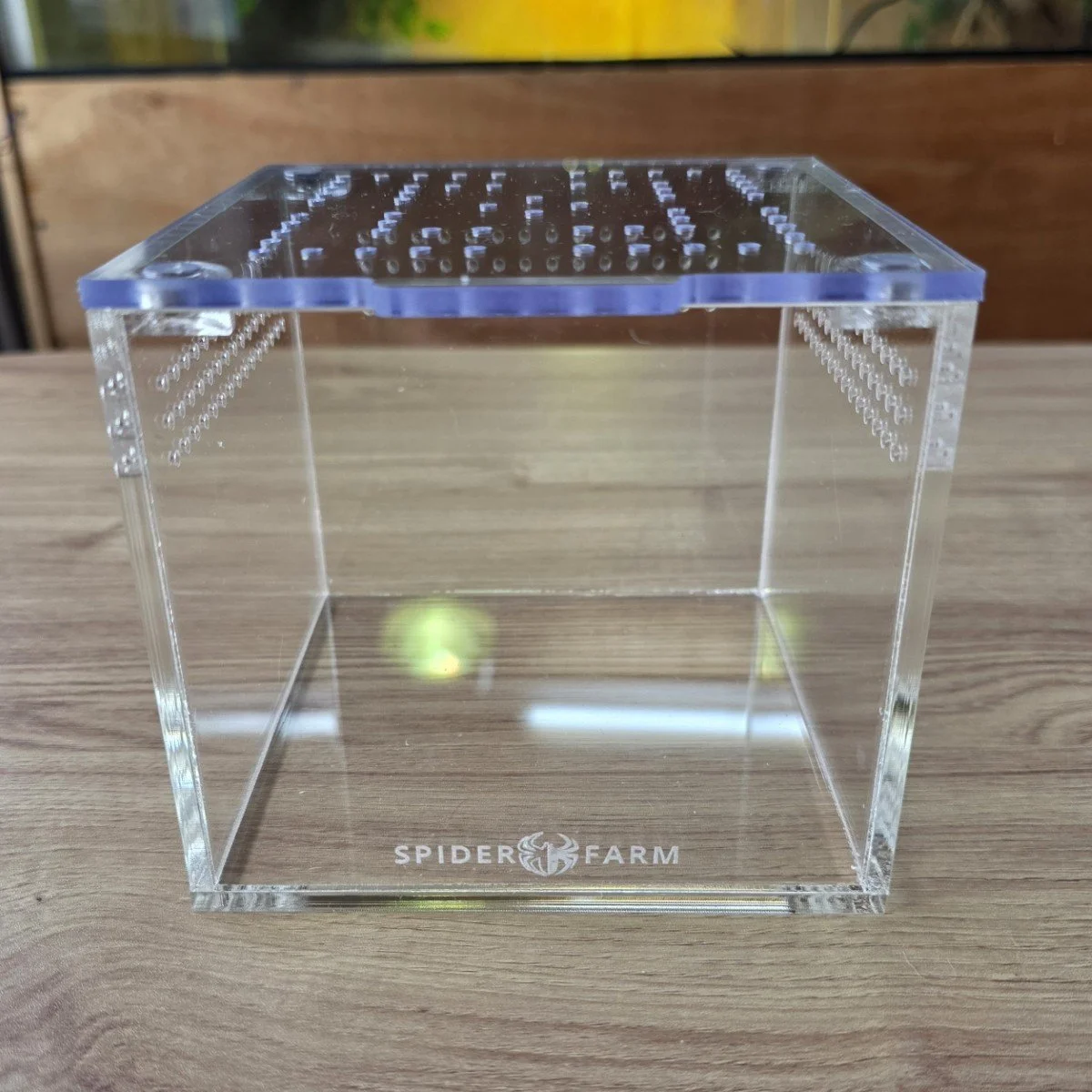 Terrestrial Acrylic Juvenile Enclosure (12W x 12D x 10H cm)