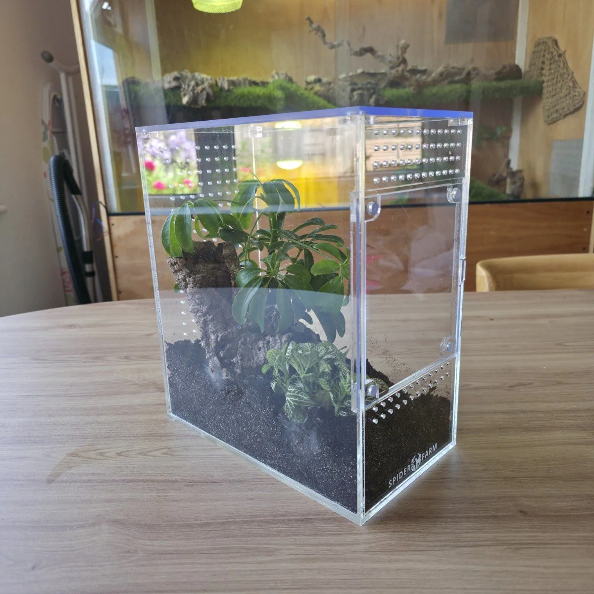 large-arboreal-acrylic-enclosure-15w-x-26d-x-30h-cm-4.jpg