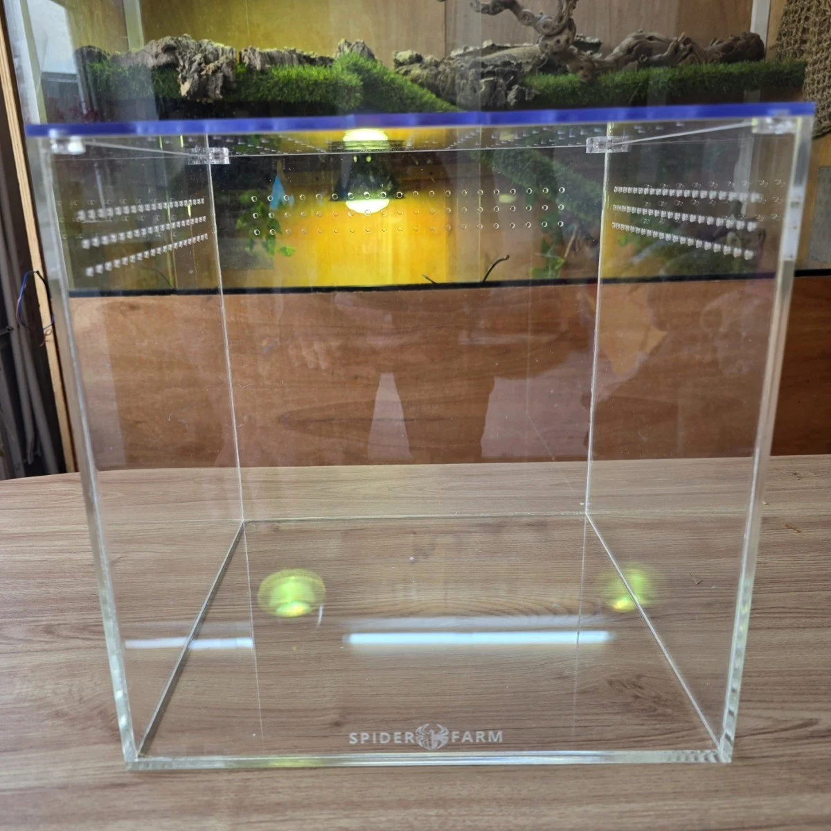 large-cube-acrylic-enclosure-30w-x-30d-x-30h-cm.jpg