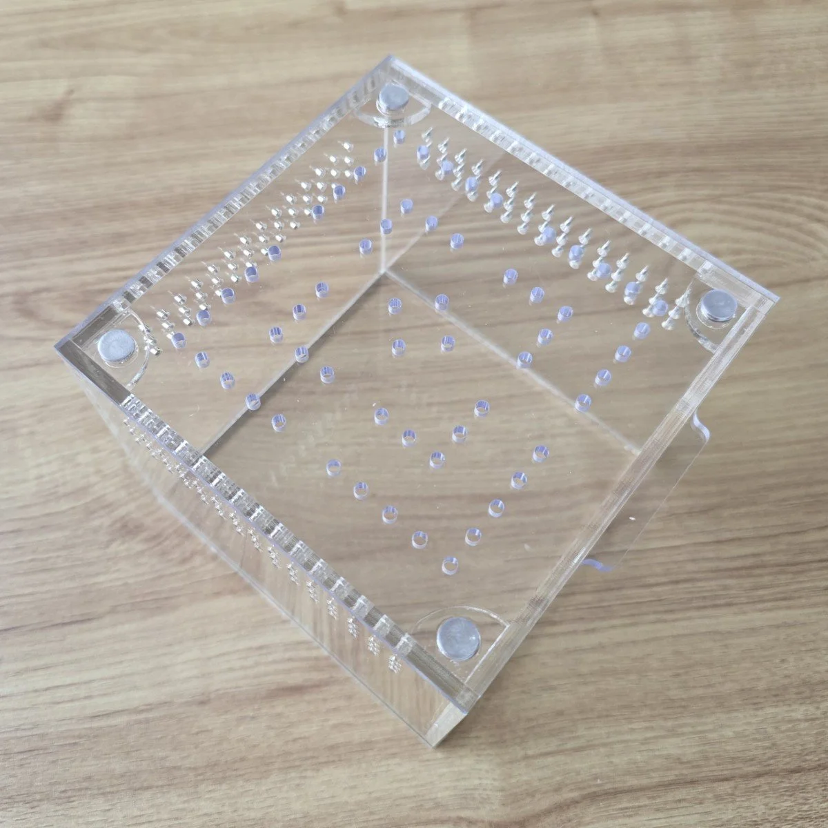 terrestrial-acrylic-juvenile-enclosure-12w-x-12d-x-10h-cm.jpg