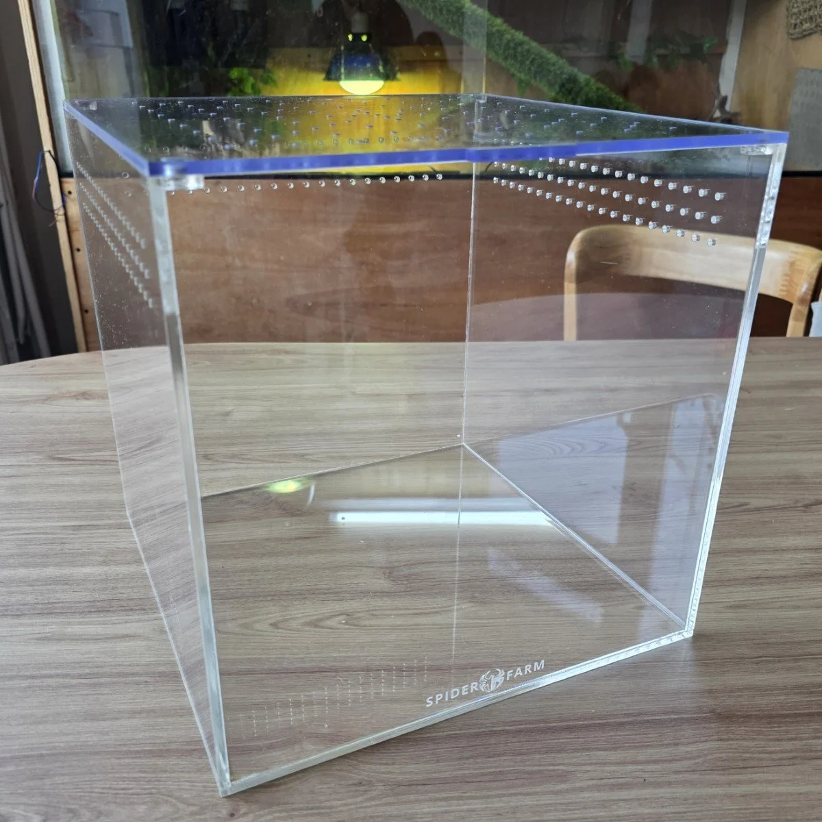 Large Cube Acrylic Enclosure (30W x 30D x 30H cm)