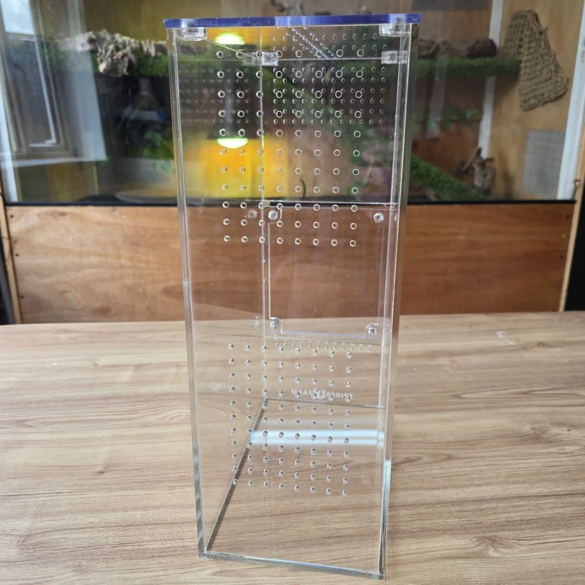 xl-arboreal-acrylic-enclosure-15w-x-26d-x-40h-cm-2.jpg