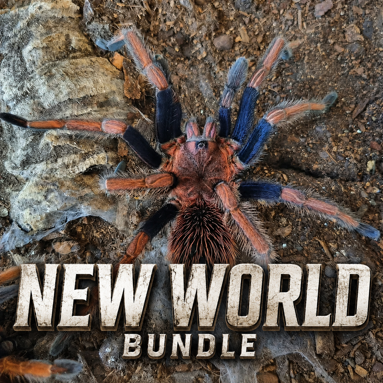 New-World-TERRESTRIAL BUNDLE.png