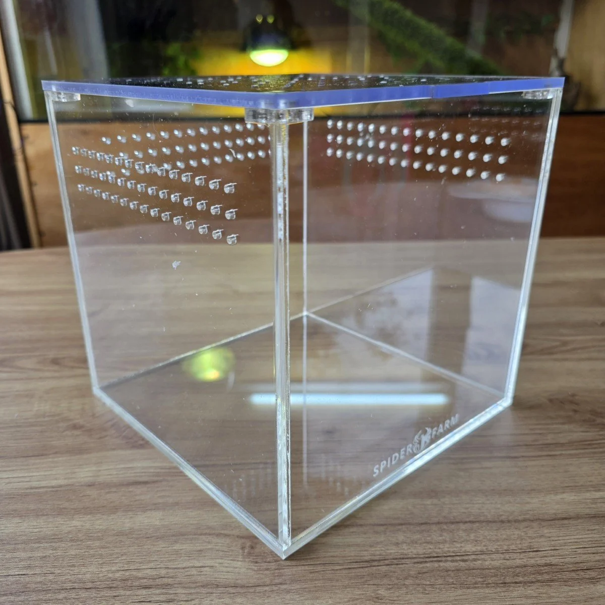 medium-cube-acrylic-enclosure-20w-x-20d-x-20h-cm-4.jpg