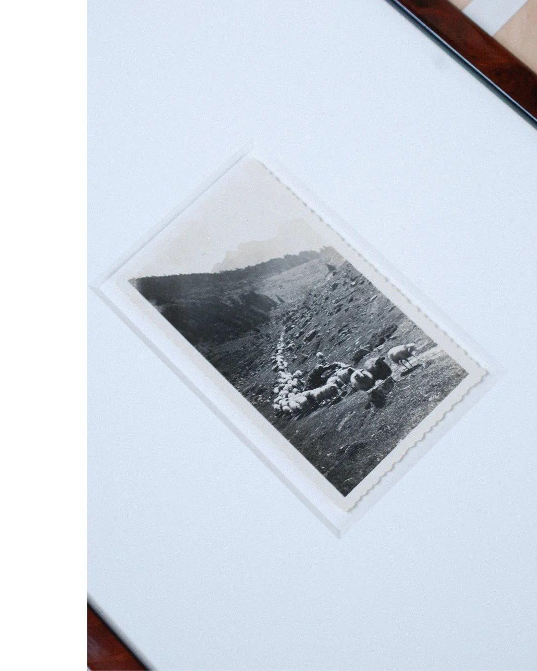 Photographie ancienne de la Vallée de Lutour, issue du carnet Mes photos de Cauterets édité par E. Quinault à Lourdes. Tirage ancien encadré à la main. Pièce unique.