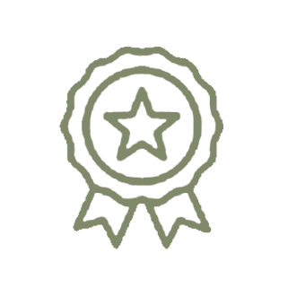 Een illustratie van een medaille met een ster in het midden en twee lintjes erboven en eronder.