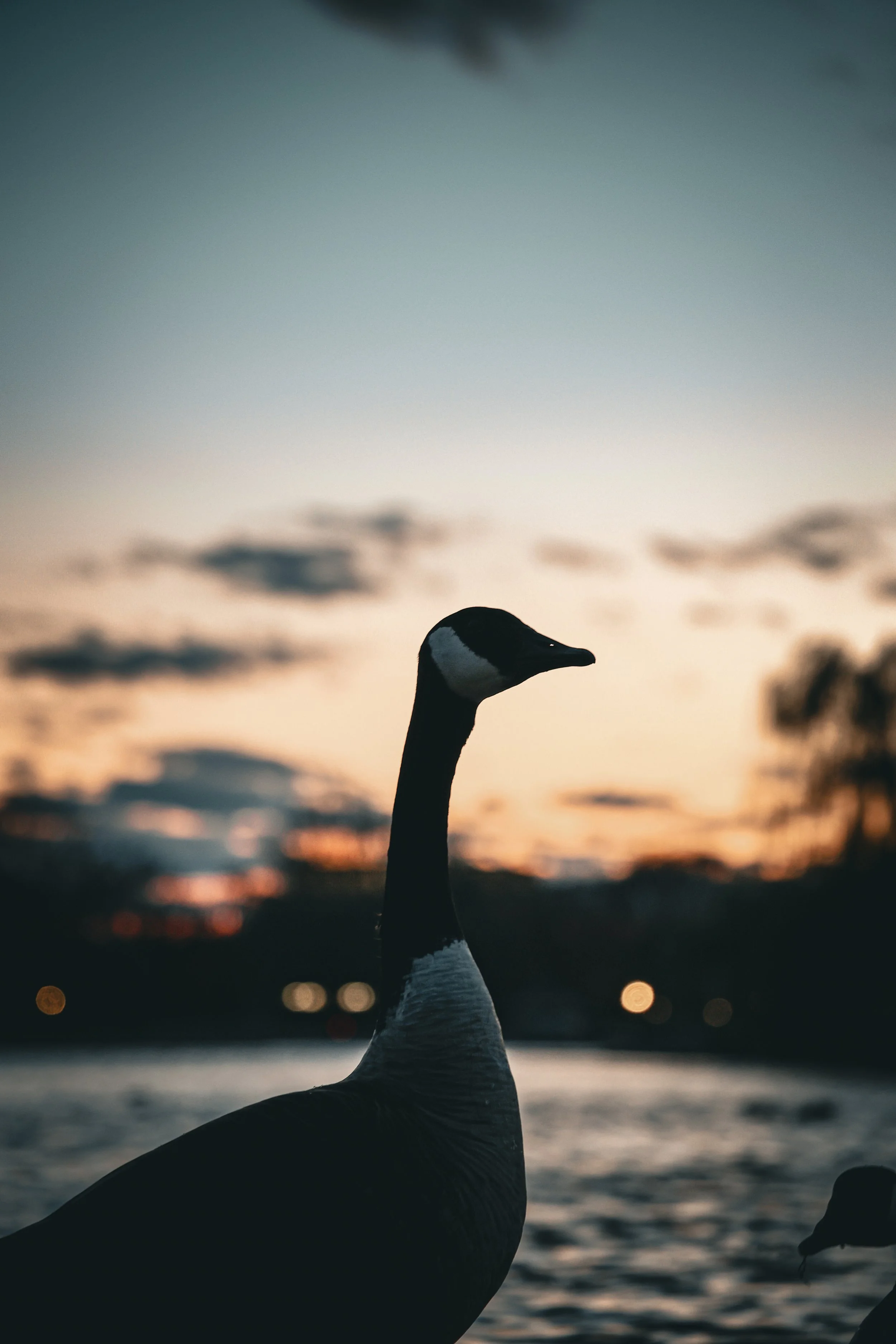 Photo Mar 22 2025, 7 45 14 PM - Copy.jpg