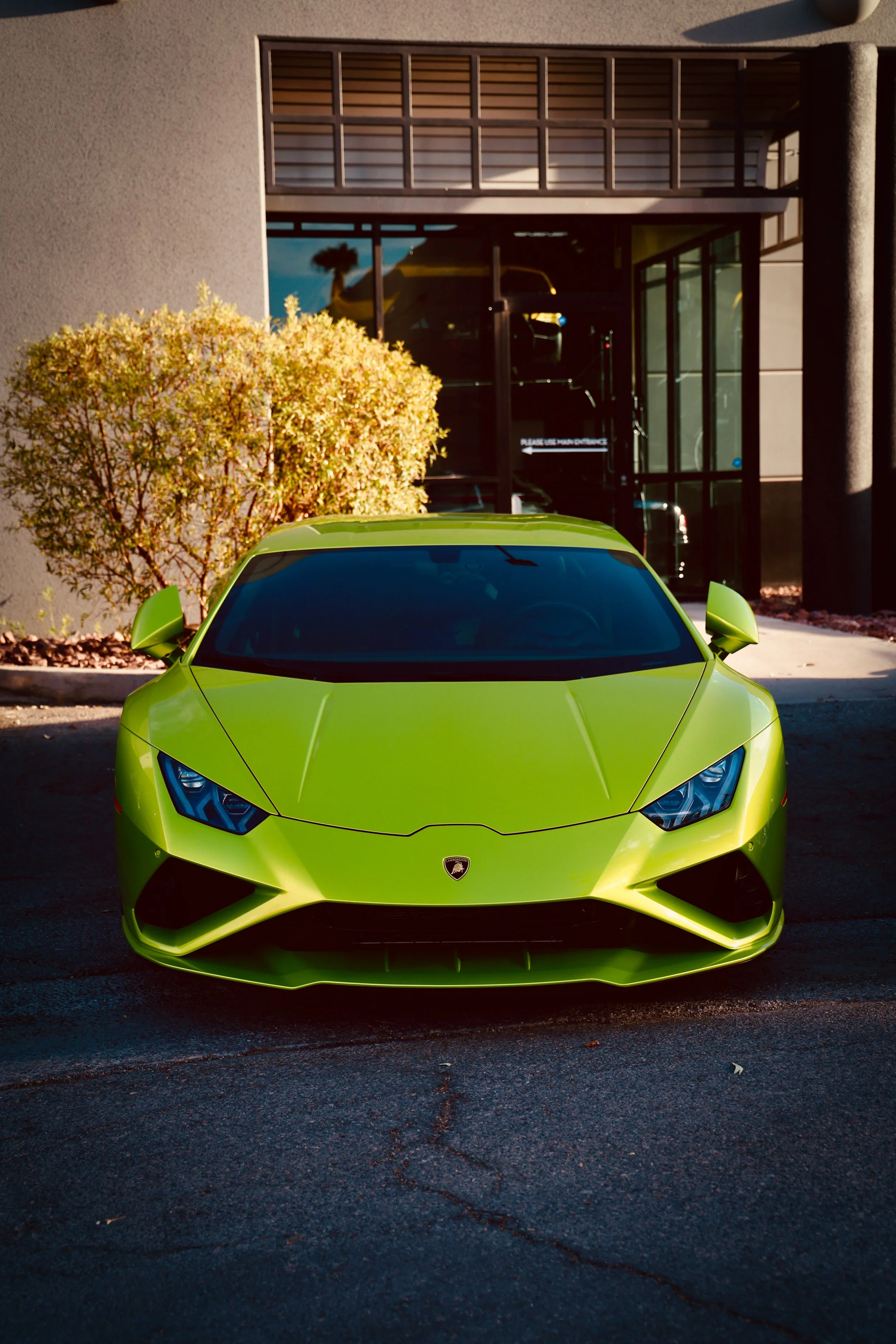 Photo Aug 08 2024, 9 27 28 PM.jpg