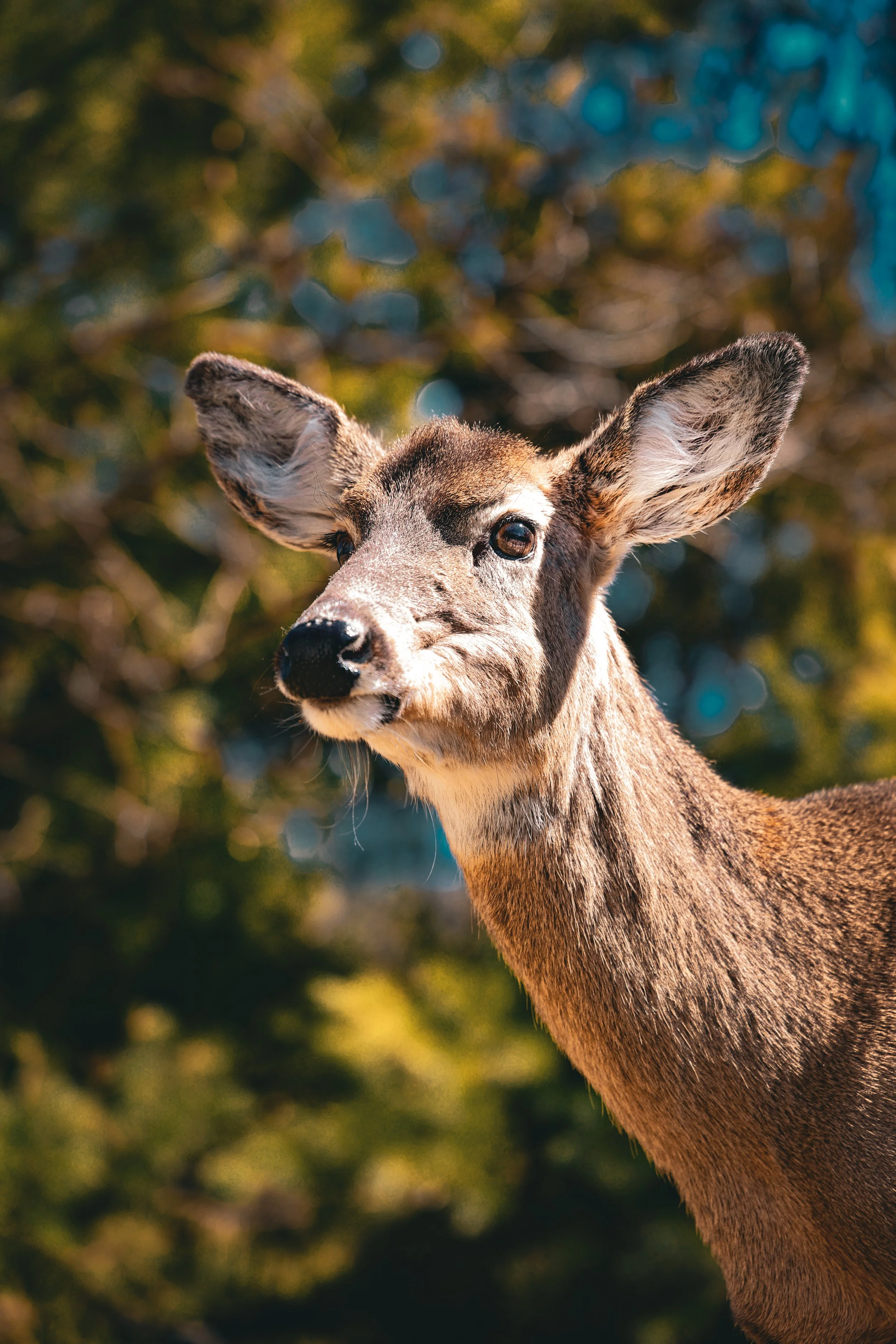 Photo Mar 09 2025, 1 38 23 PM - Copy.jpg