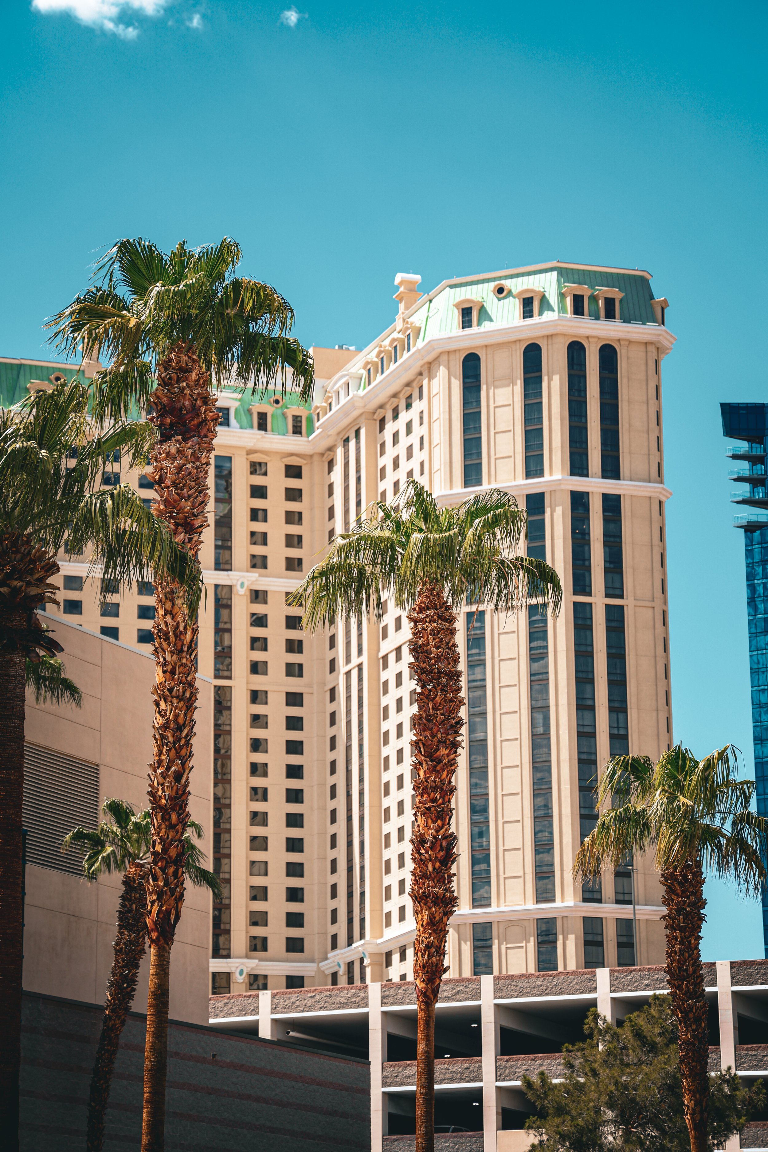 Photo Aug 05 2024, 5 57 44 PM.jpg