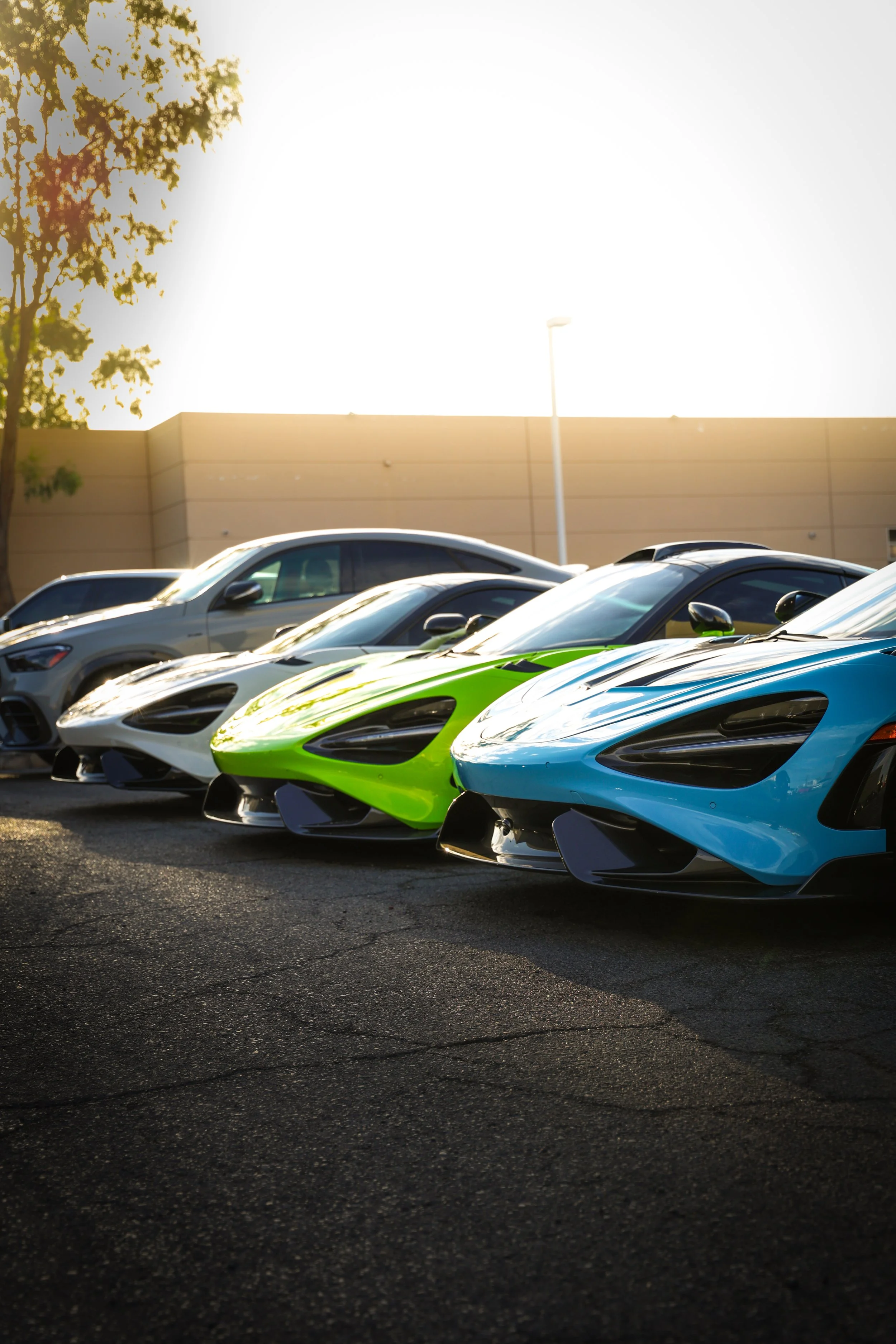 Photo Aug 08 2024, 9 19 50 PM.jpg