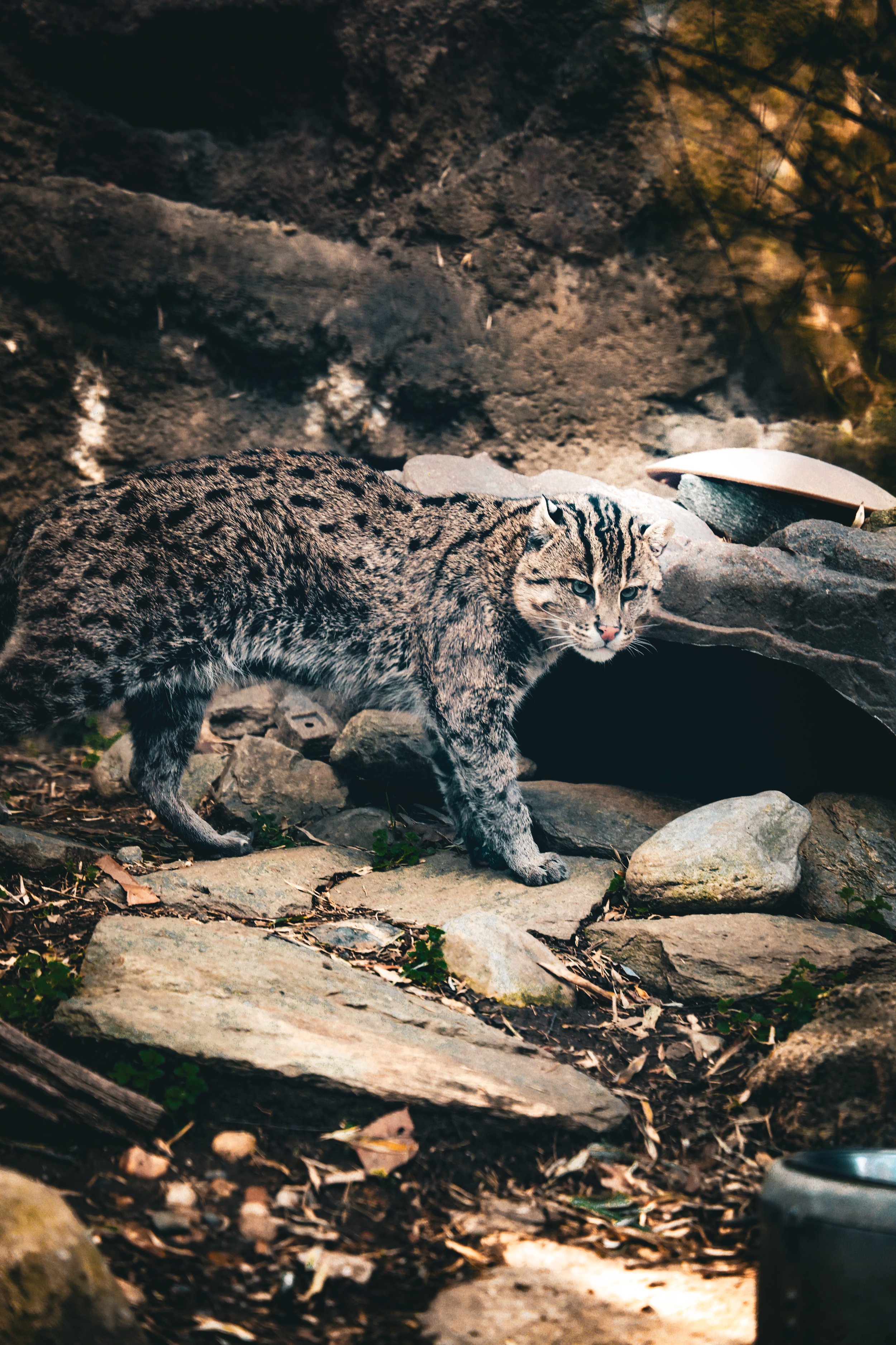 Photo Mar 22 2025, 4 08 14 PM - Copy.jpg