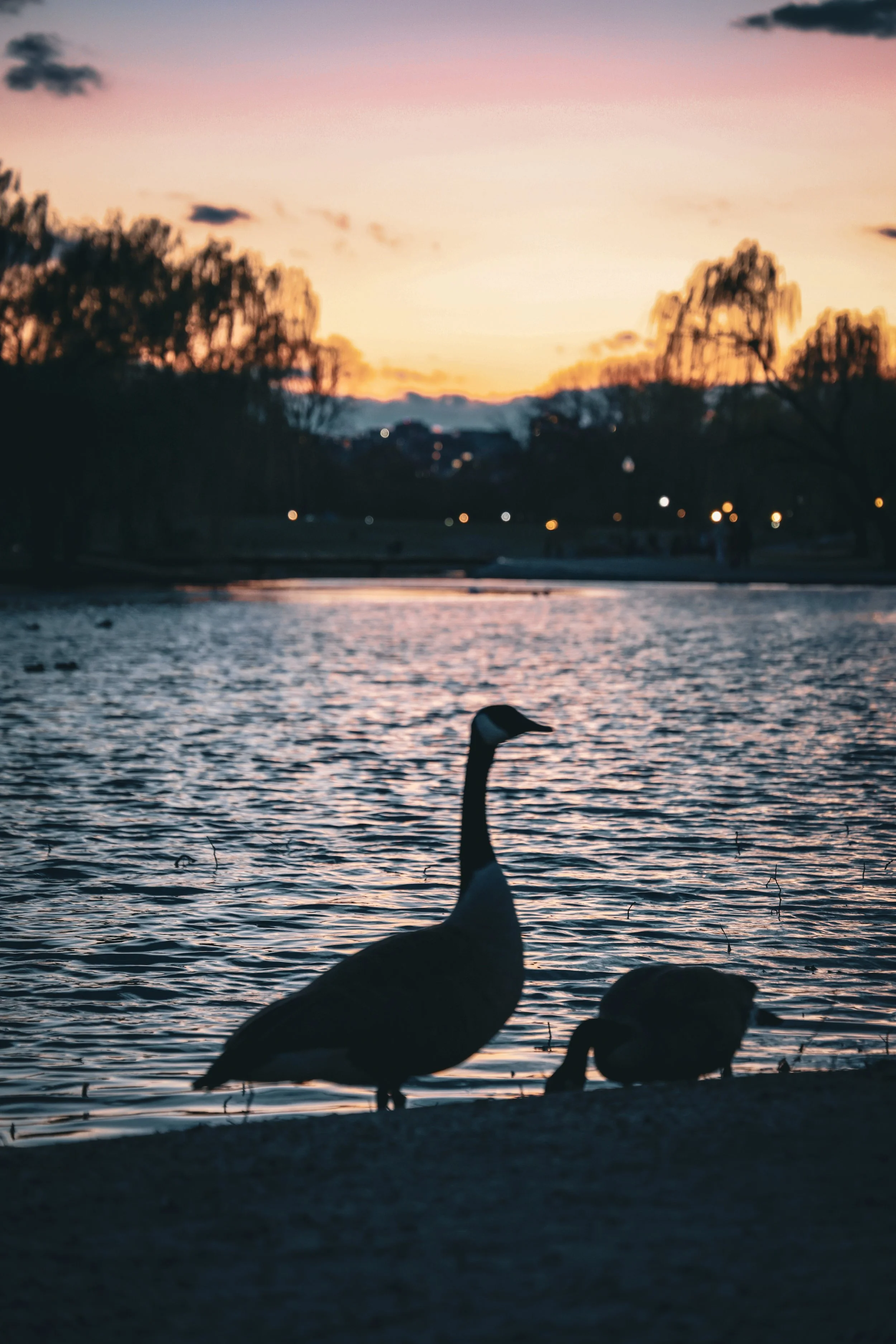 Photo Mar 22 2025, 7 44 56 PM - Copy.jpg