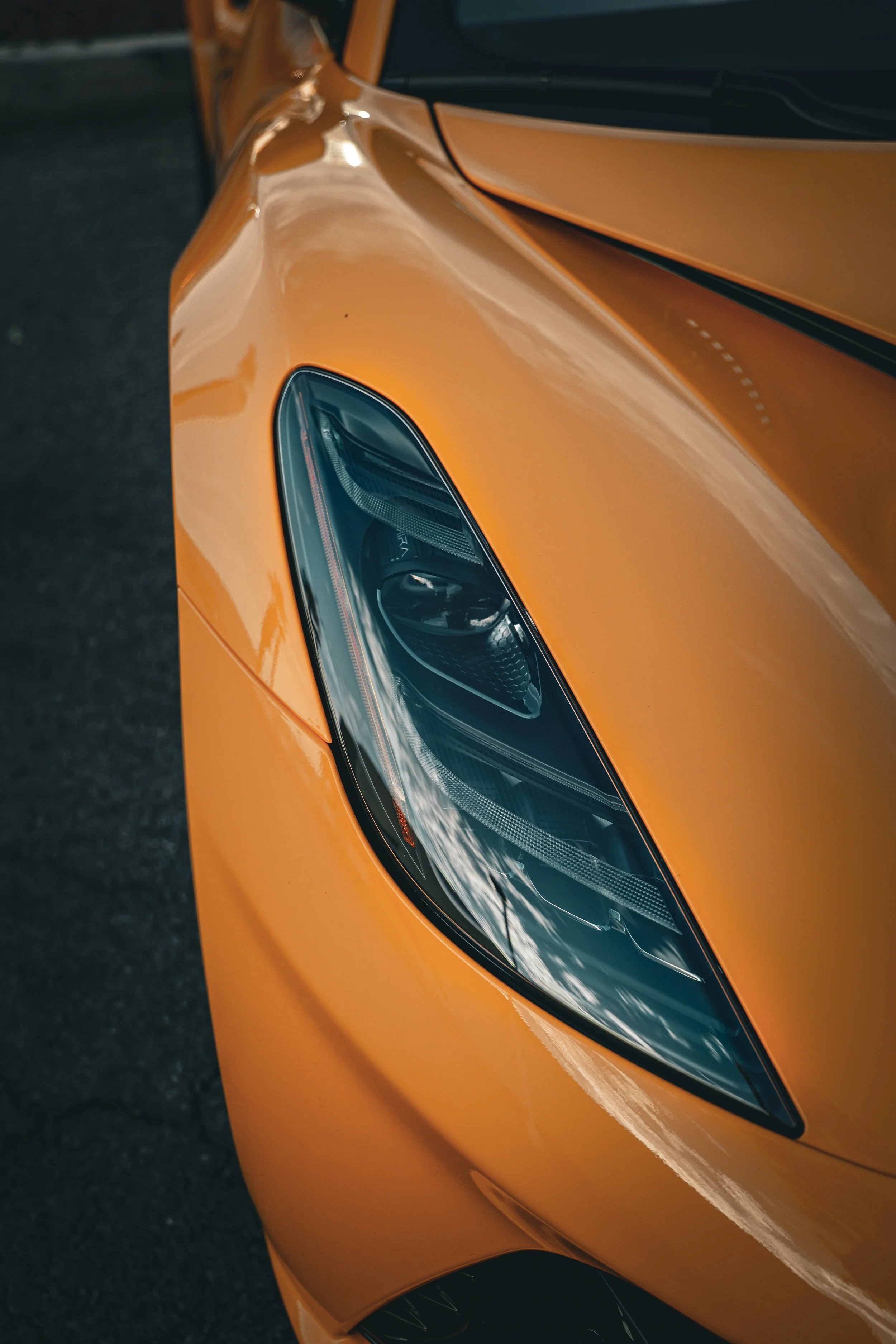 Photo Aug 08 2024, 9 21 20 PM.jpg