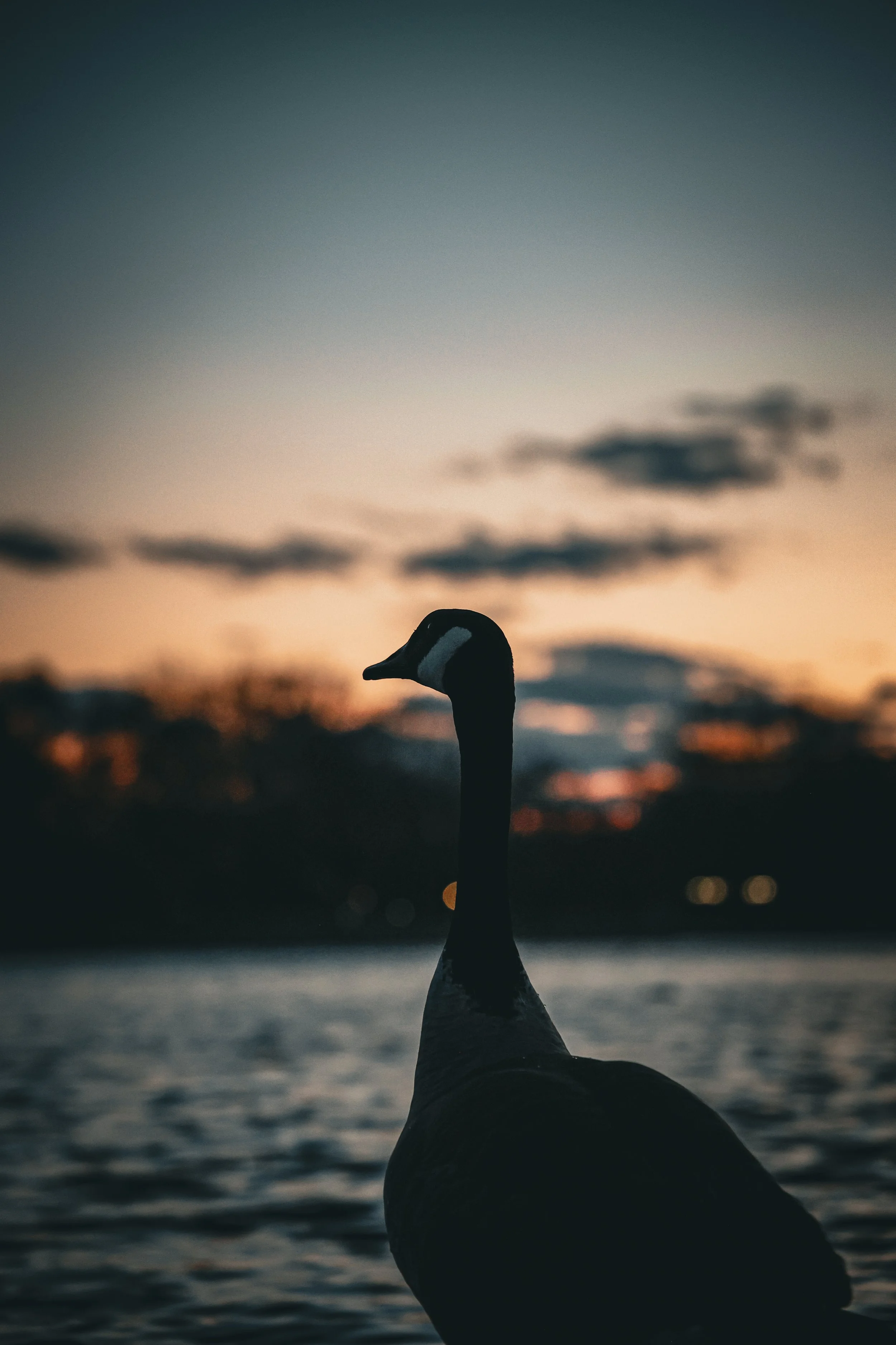 Photo Mar 22 2025, 7 45 22 PM - Copy.jpg