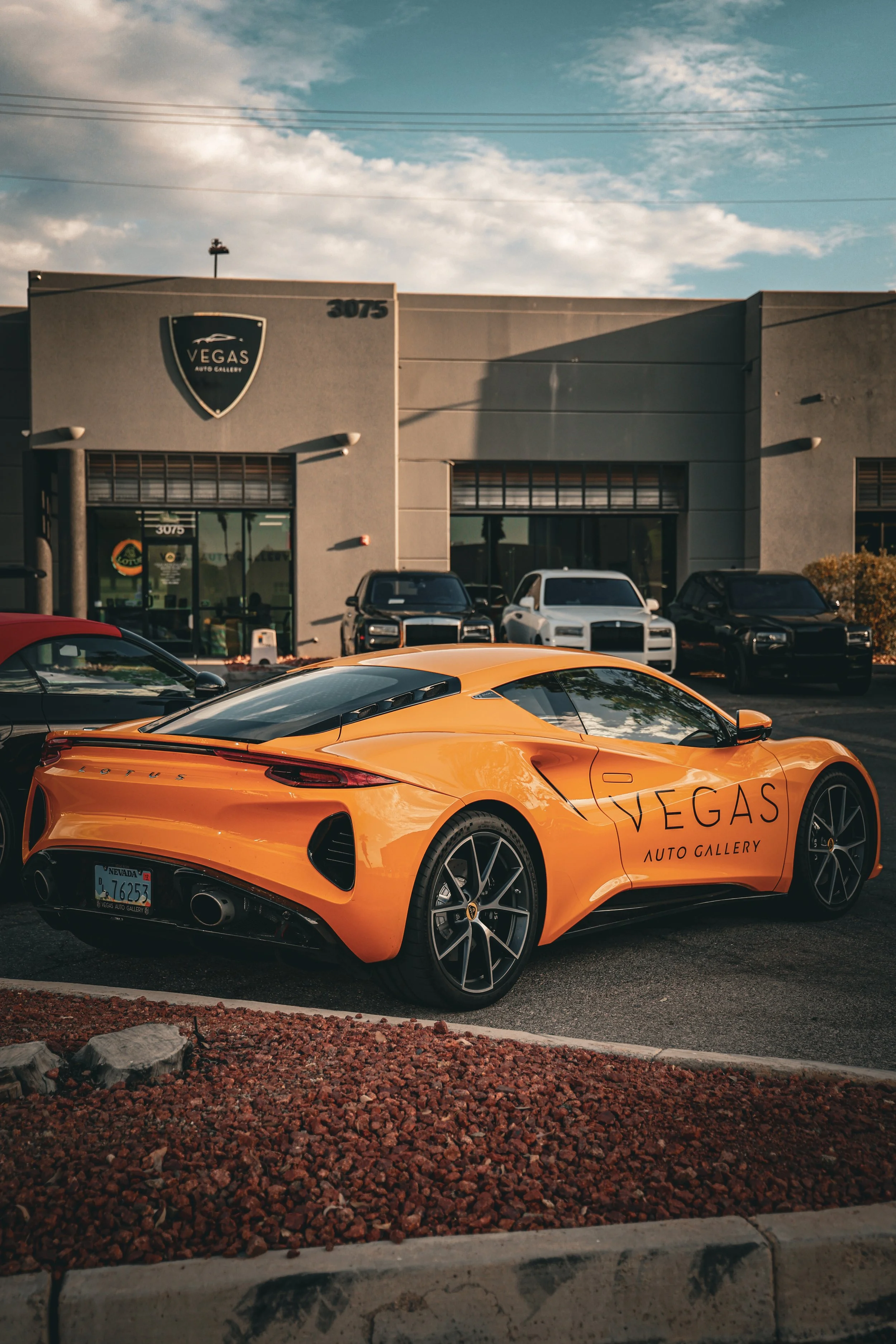 Photo Aug 08 2024, 9 24 22 PM.jpg