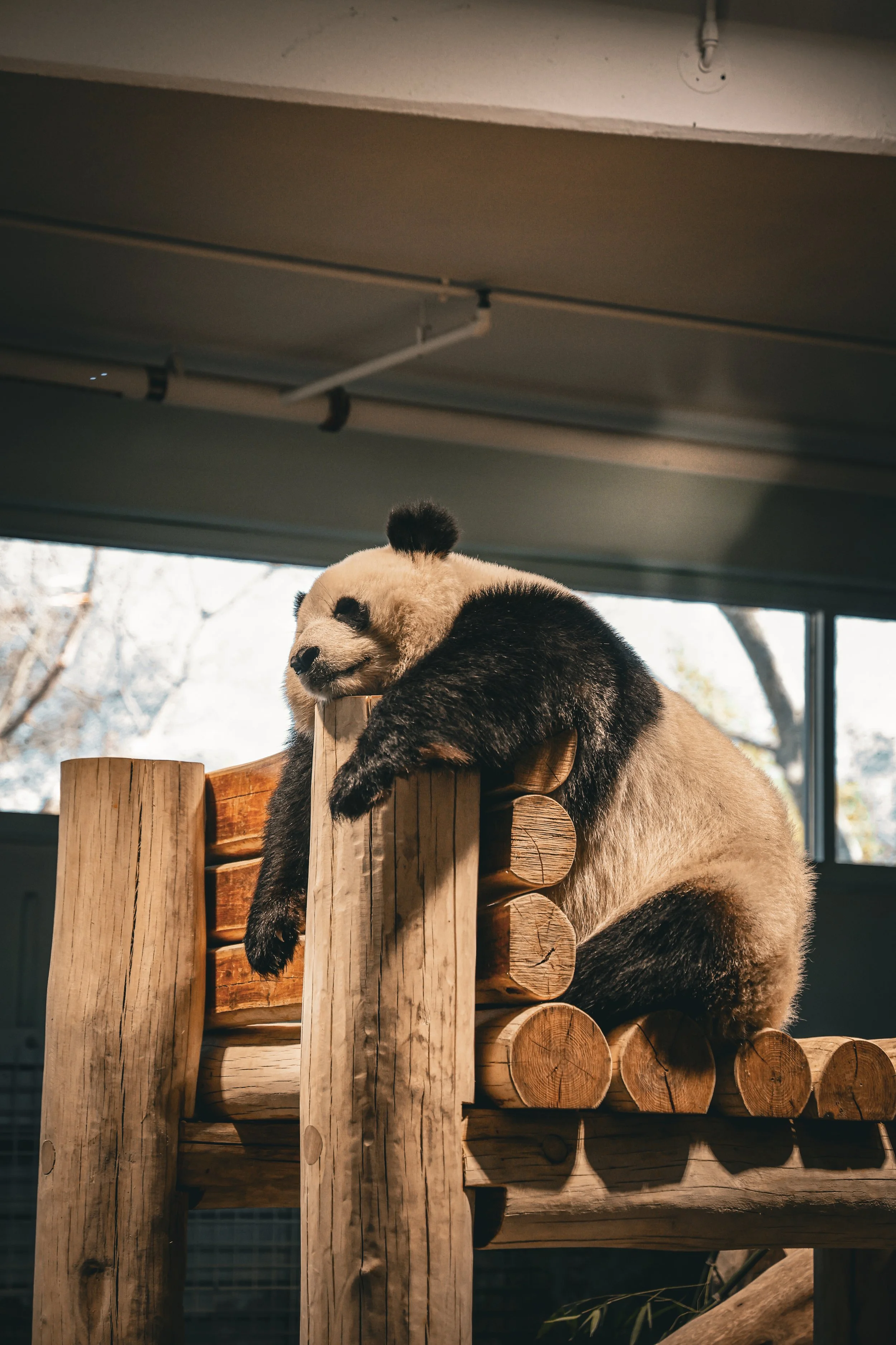 Photo Mar 22 2025, 4 56 45 PM - Copy.jpg