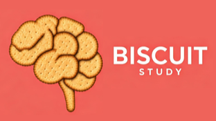 BISCUIT study