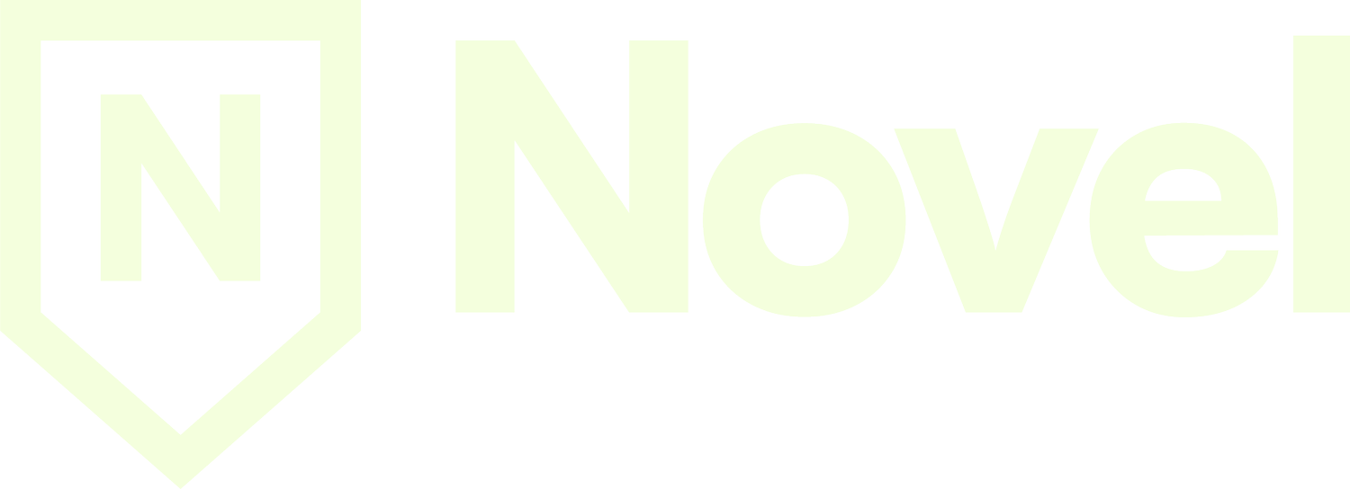 Novel