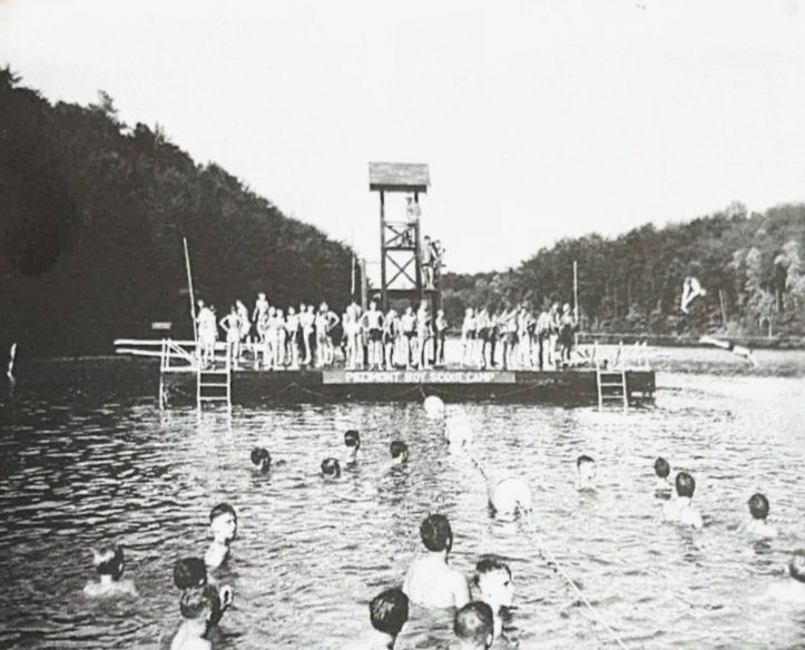 Swimming area and diving structure